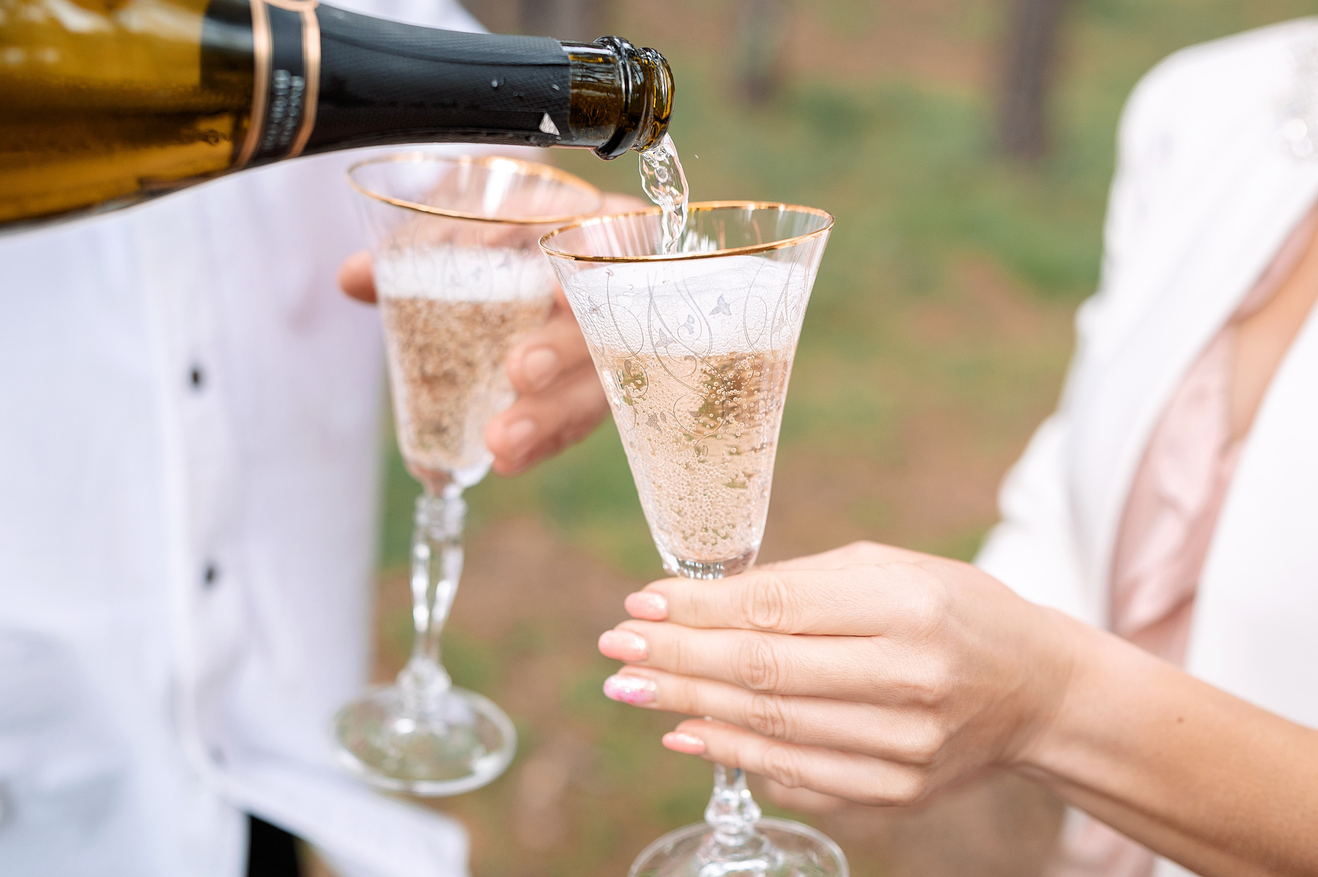 Серебряная свадьба Сергея и Евгении. Семейный, свадебный, школьный фотограф в Железногорске Целуев Андрей