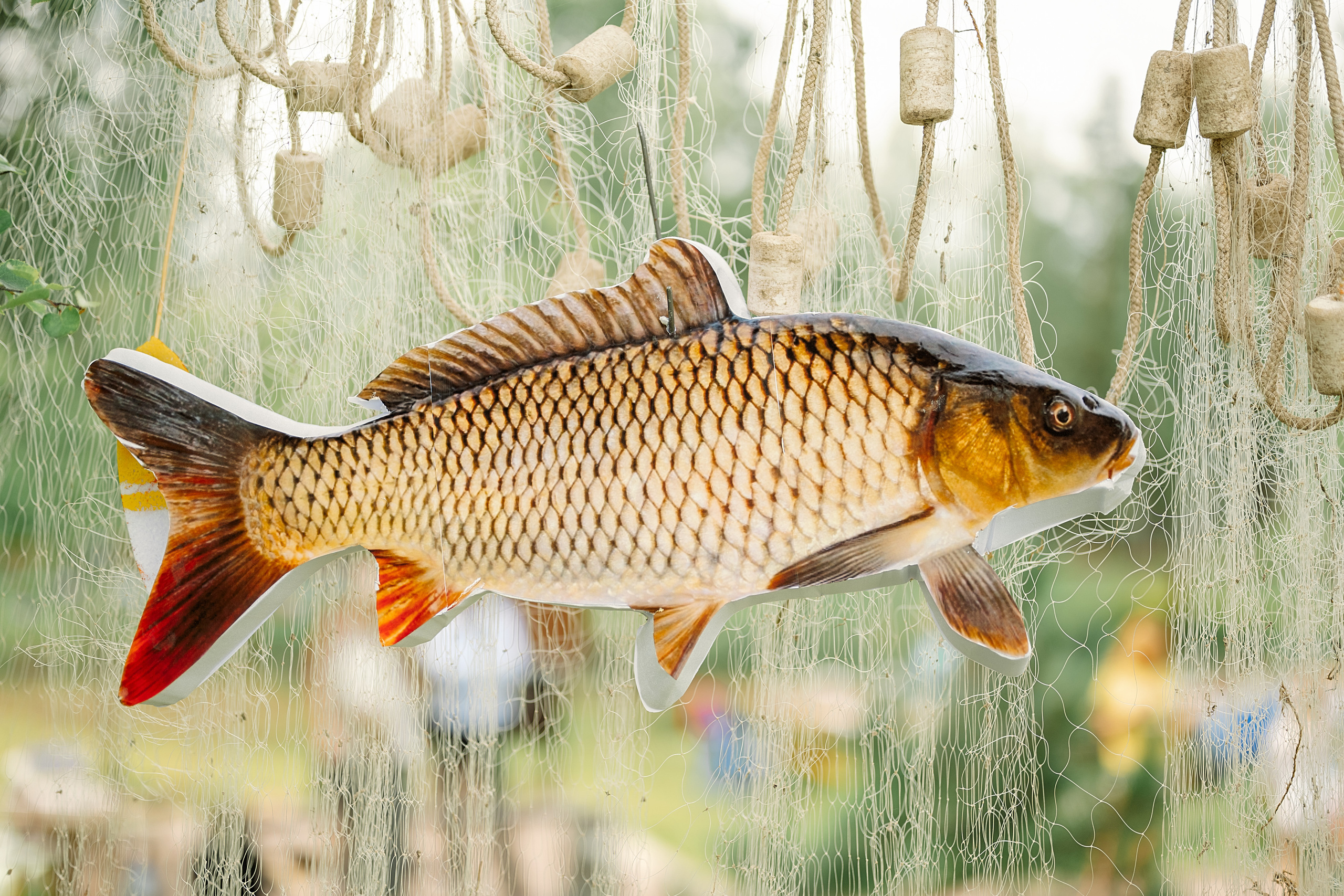 Юбилей Алексея. Семейный, свадебный, школьный фотограф в Железногорске Целуев Андрей