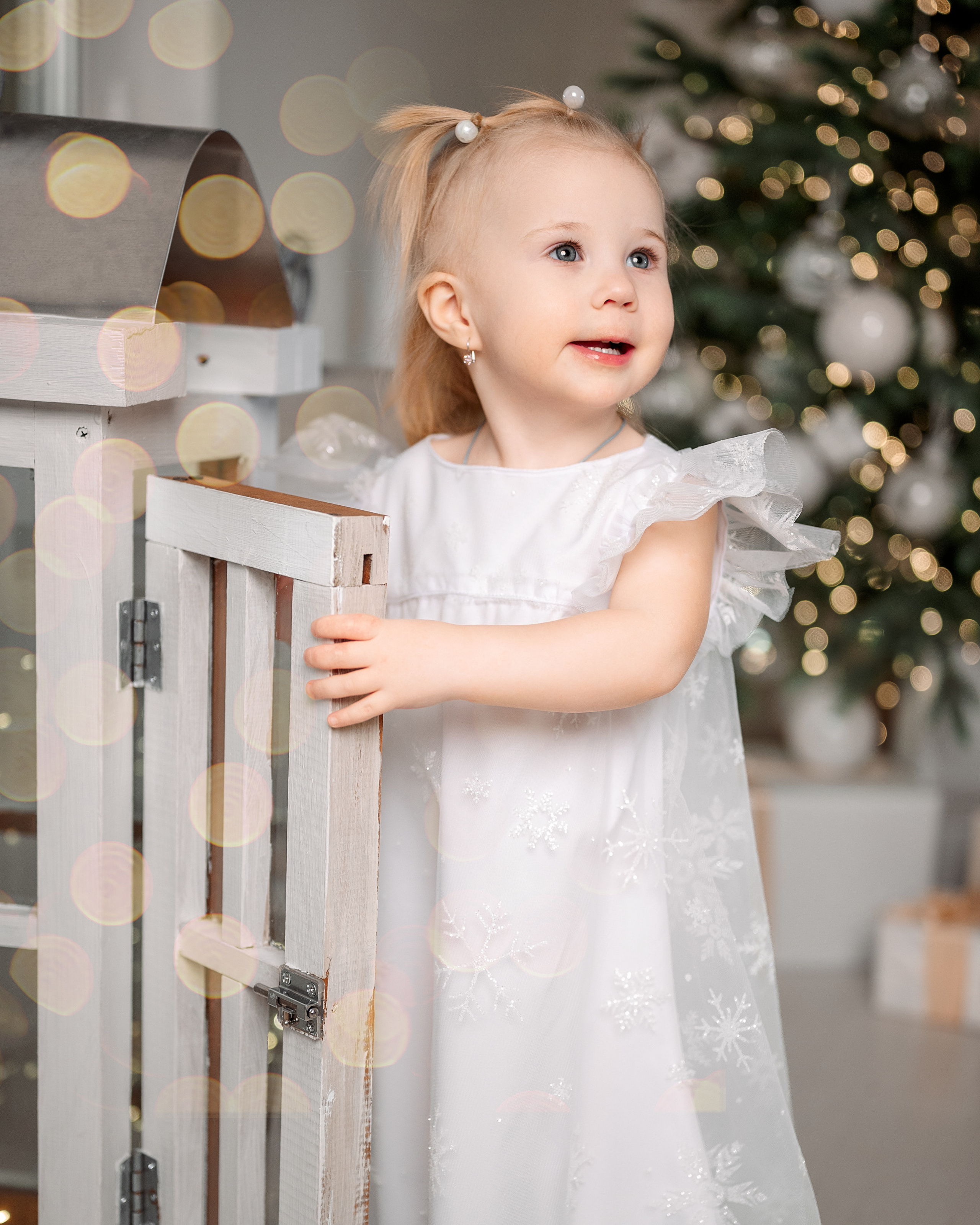 Семья Забоевых. Семейный, свадебный, школьный фотограф в Железногорске Целуев Андрей