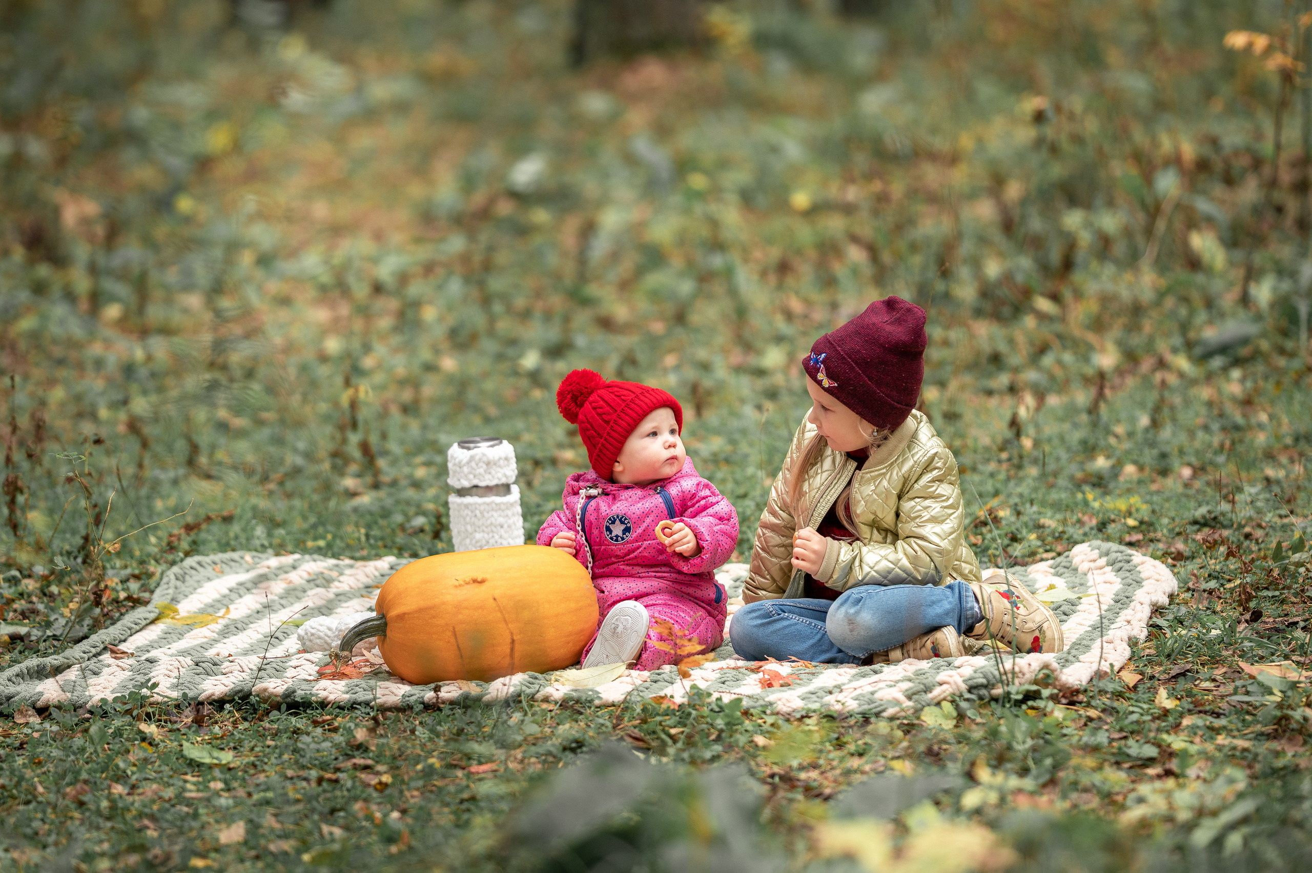 Семья Забоевых. Семейный, свадебный, школьный фотограф в Железногорске Целуев Андрей