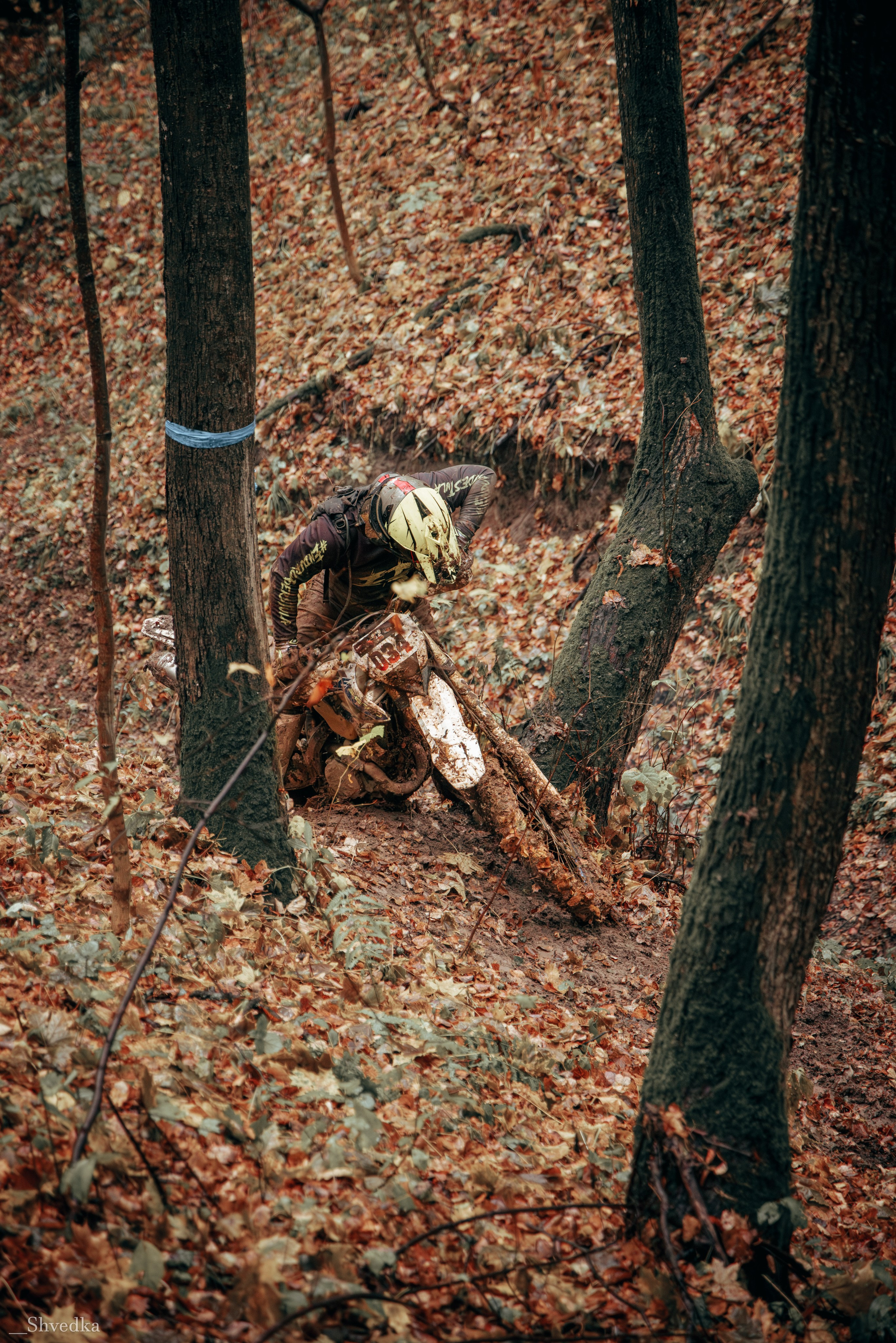 1 день. Ваш экстрим фотограф Кудрева Яна