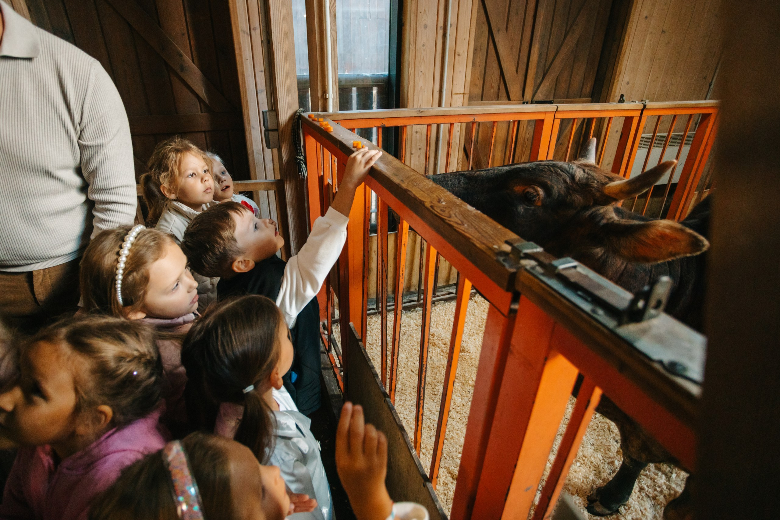 День рождения Марка. Андрей Партнов — фотогрраф, Москва