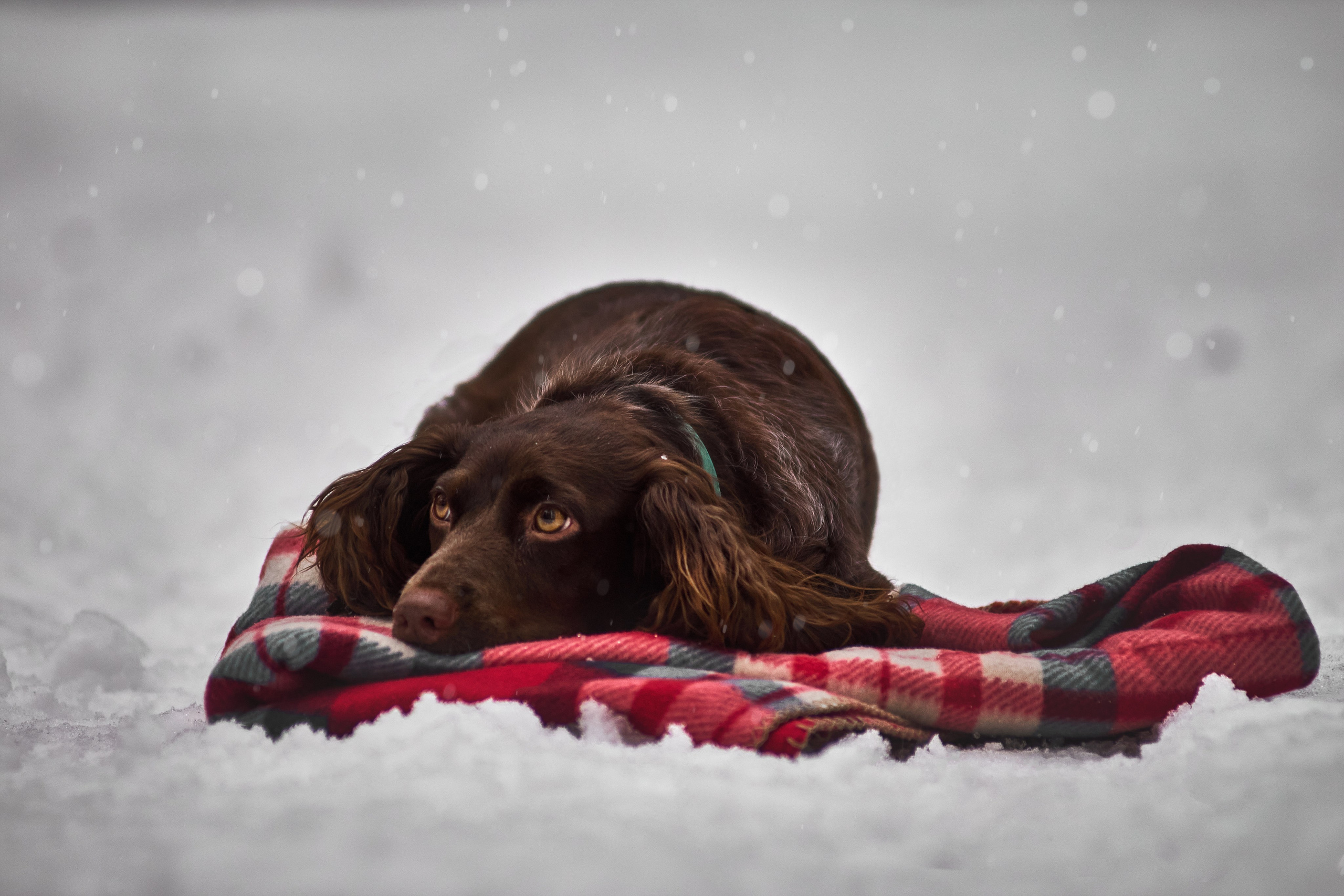 Айти. Фотограф Красков Андрей