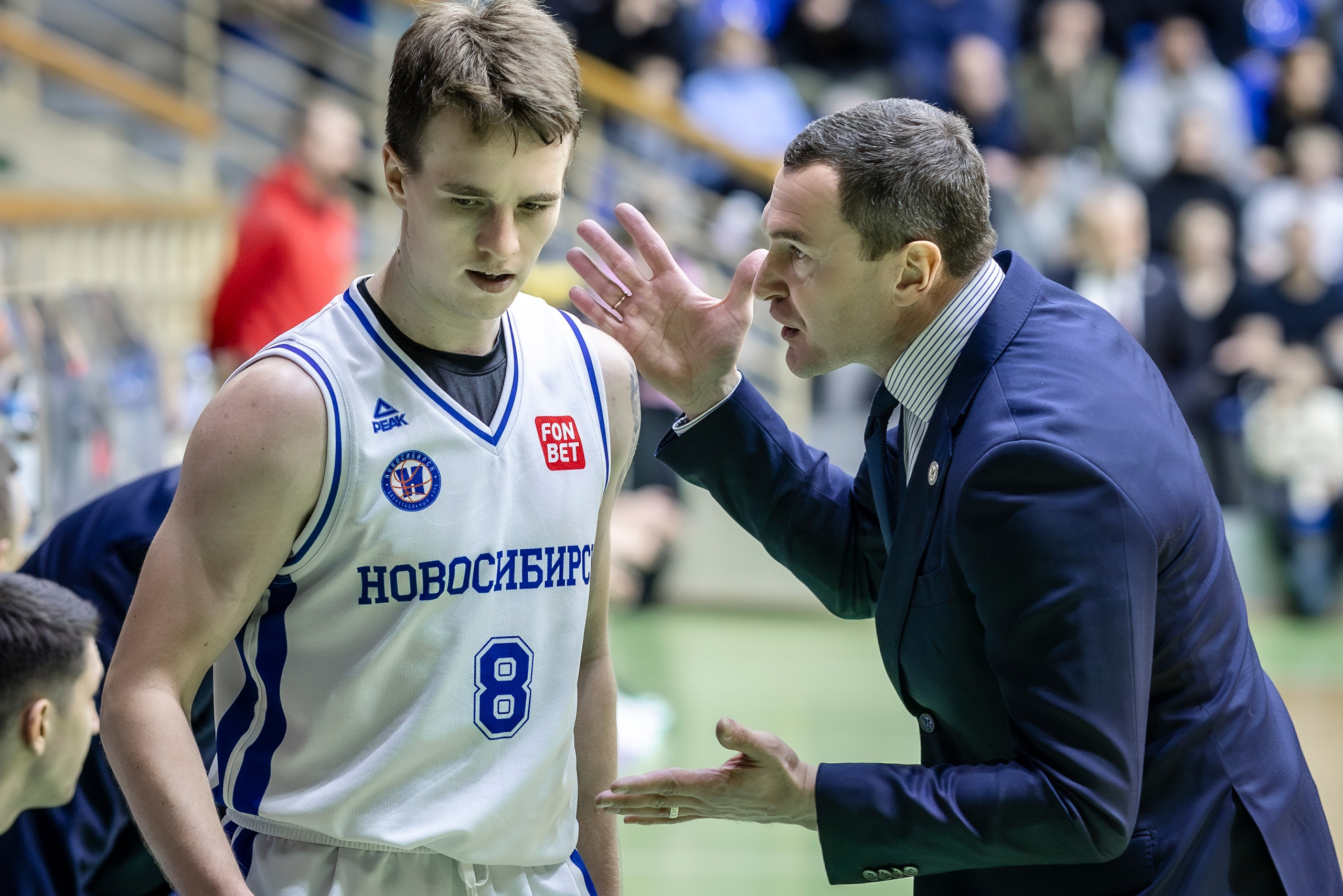 БК Новосибирск. Bertran Ordo