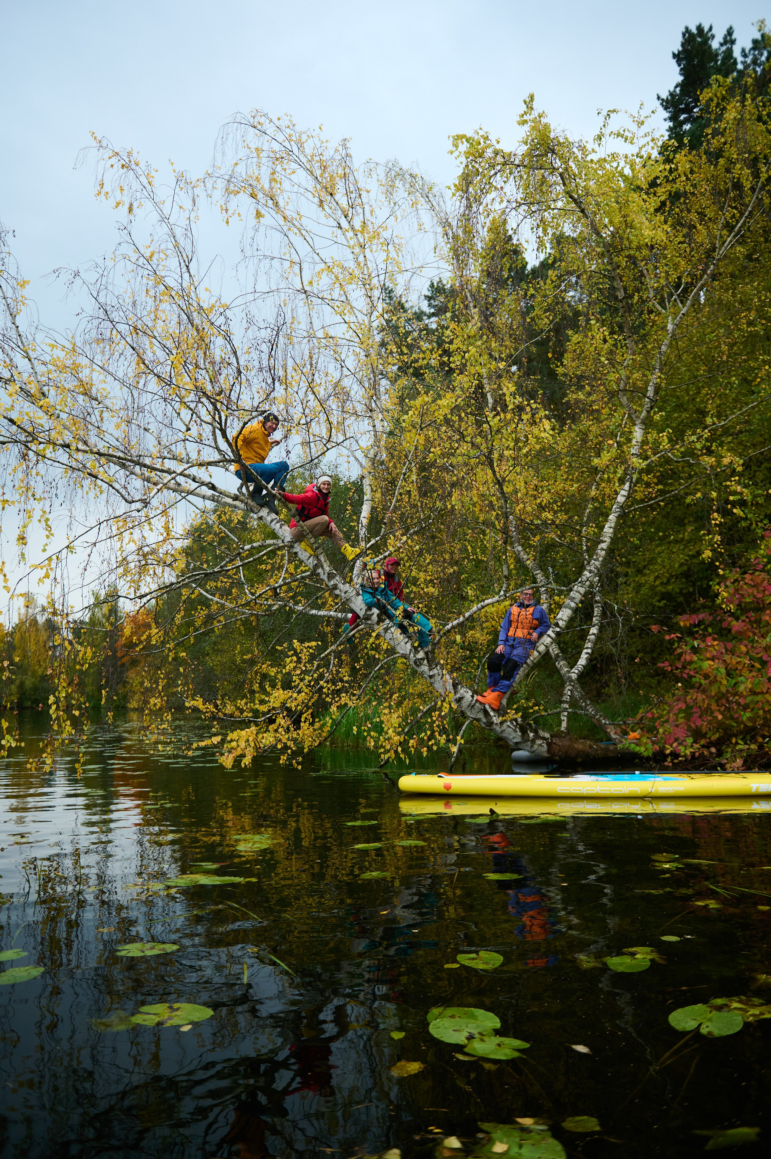 Осень_Серебряный бор. Главная