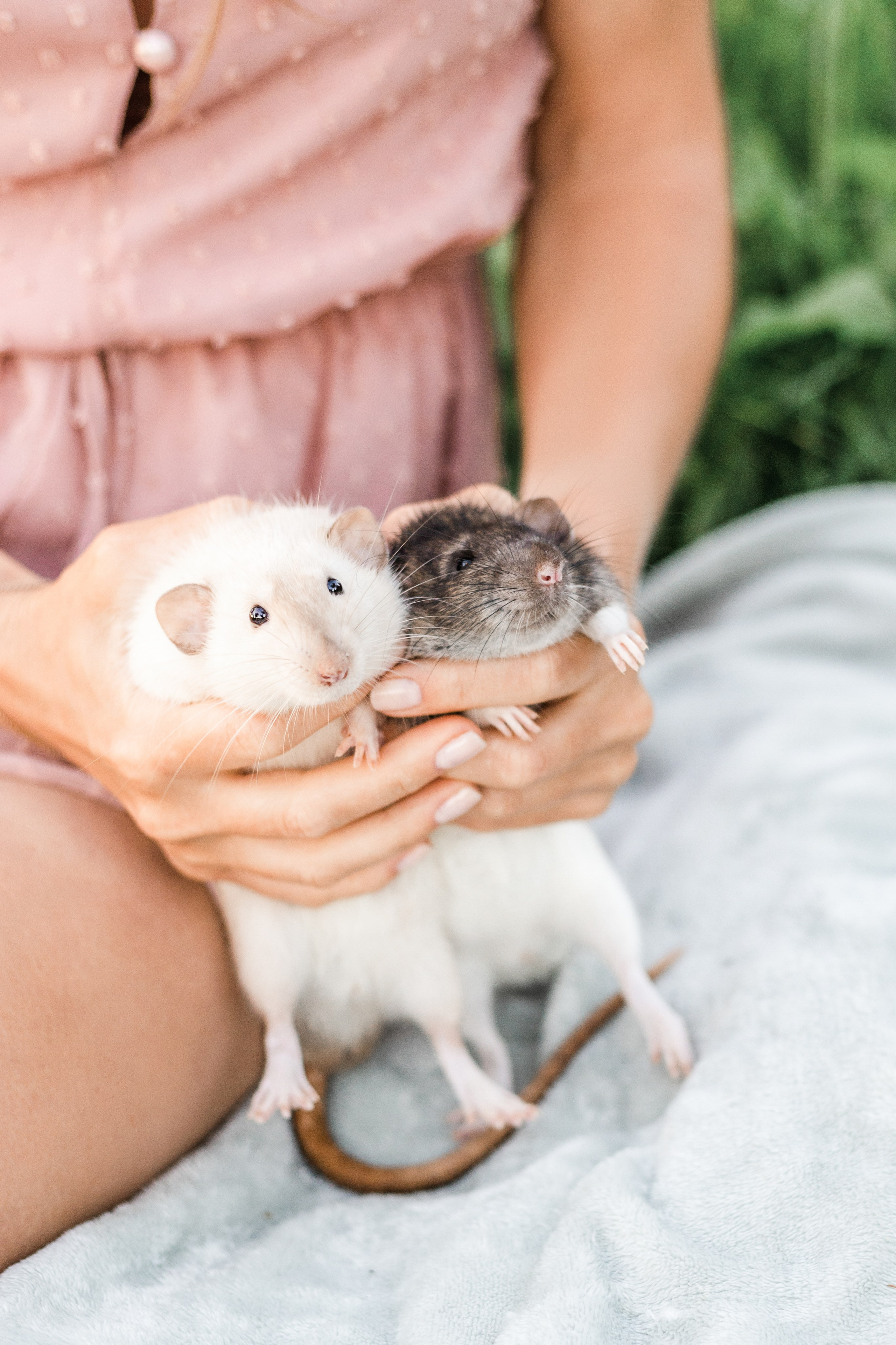 Наташа и её мальчики. Портфолио