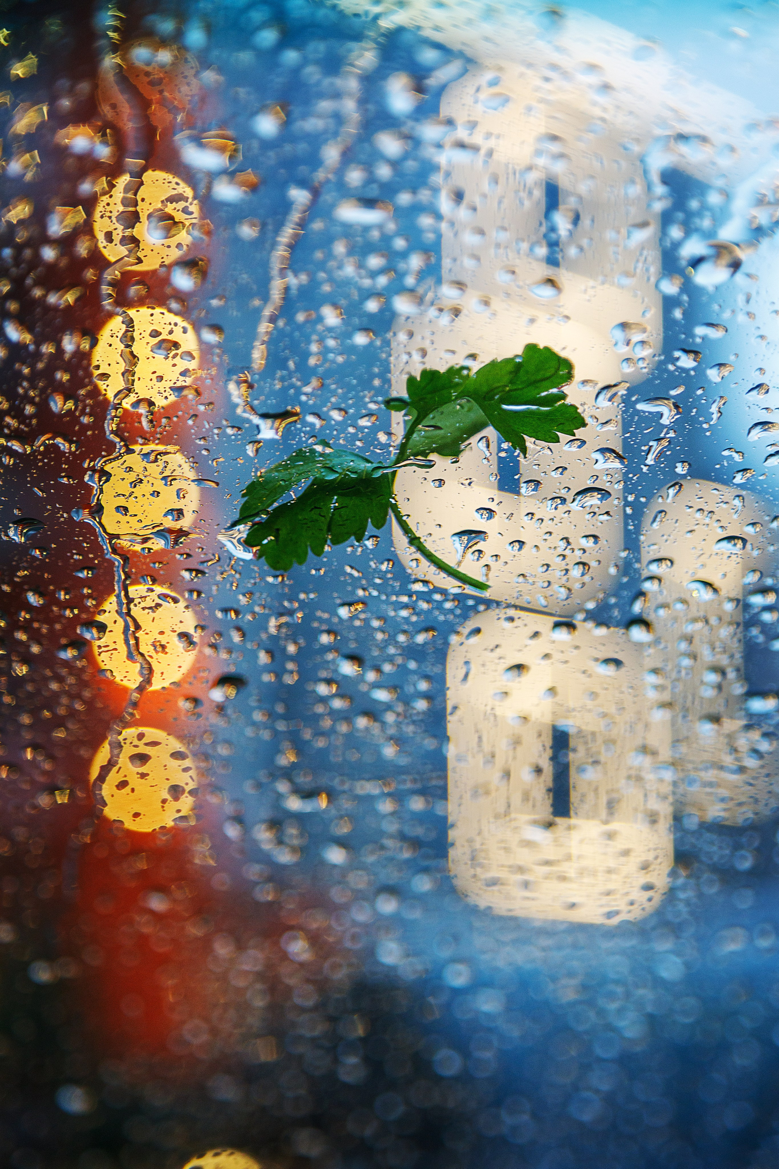 Проект «366»|2024|Фото каждый день. LENA GRACE photographer ||ЛЕНА ГРЭЙС фотограф