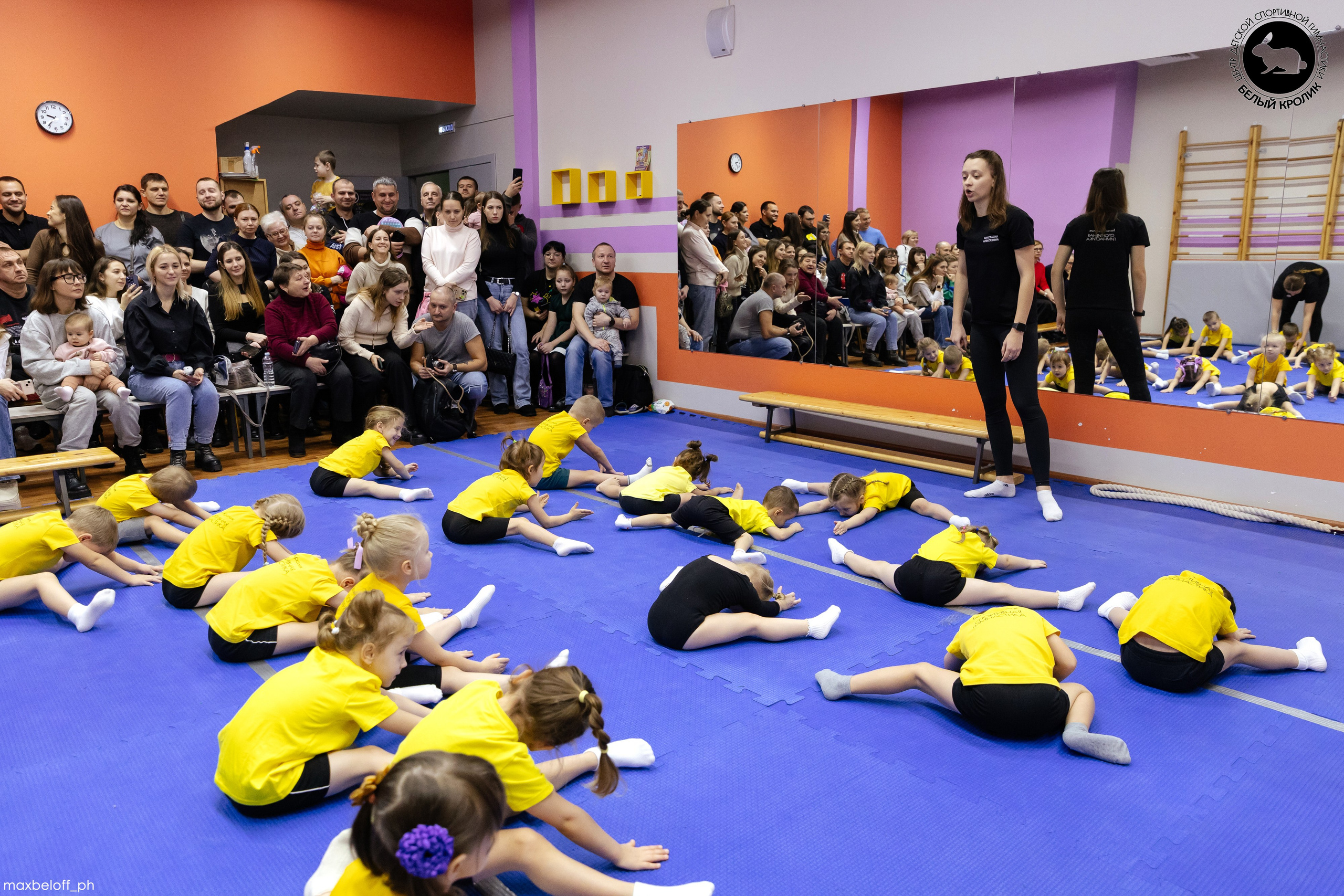 Белый кролик. Соревнования. Семейный фотограф — Макс Белогрудов