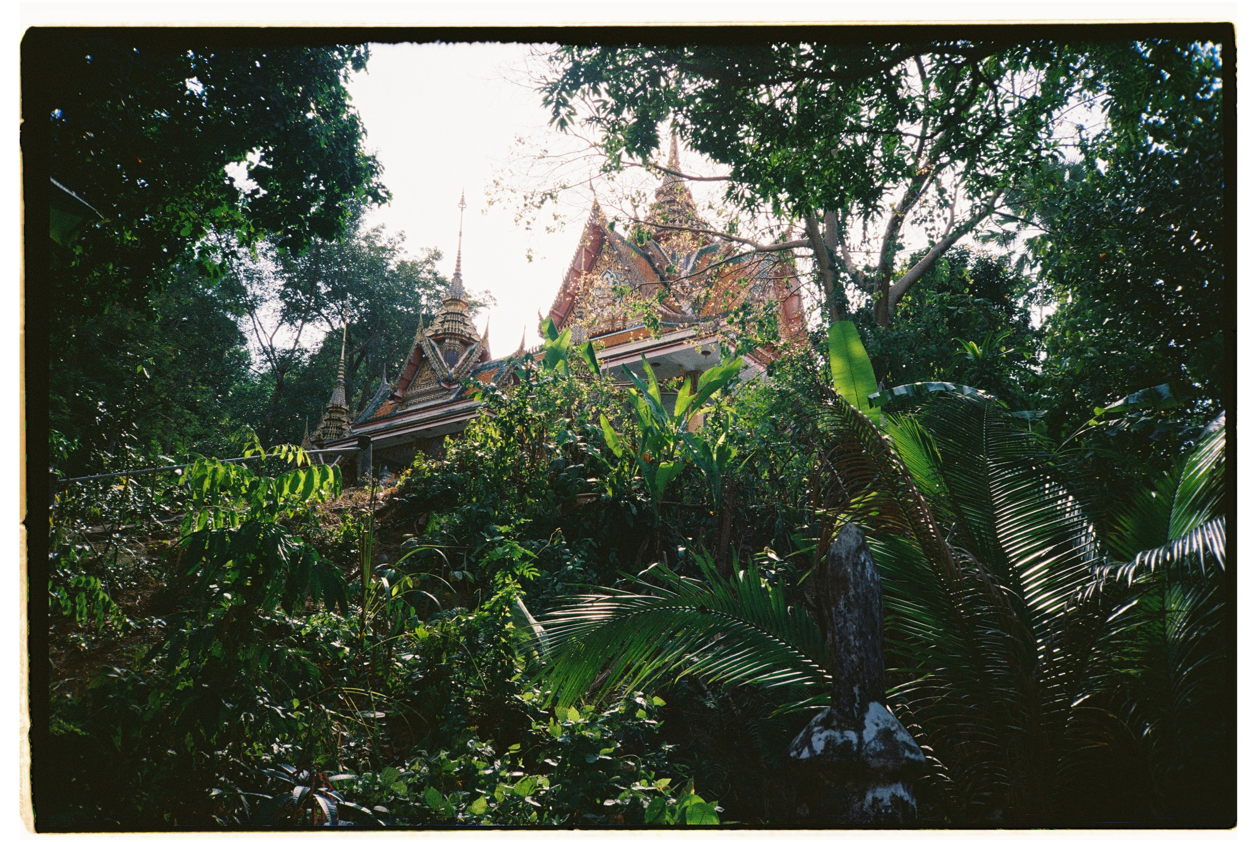 Таиланд. Портретный и репортажный фотограф в Санкт-Петербурге Дарья Сибирякова