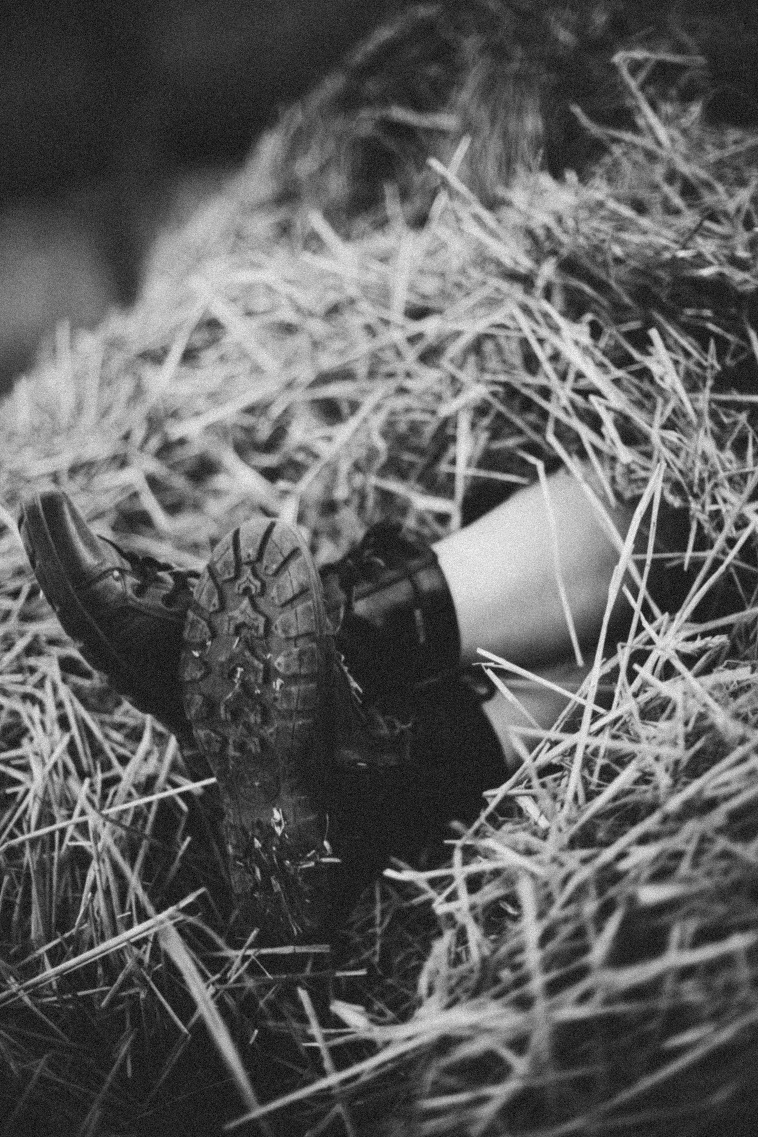 Дарья. Ферма. Фотограф в Нижнем Новгороде