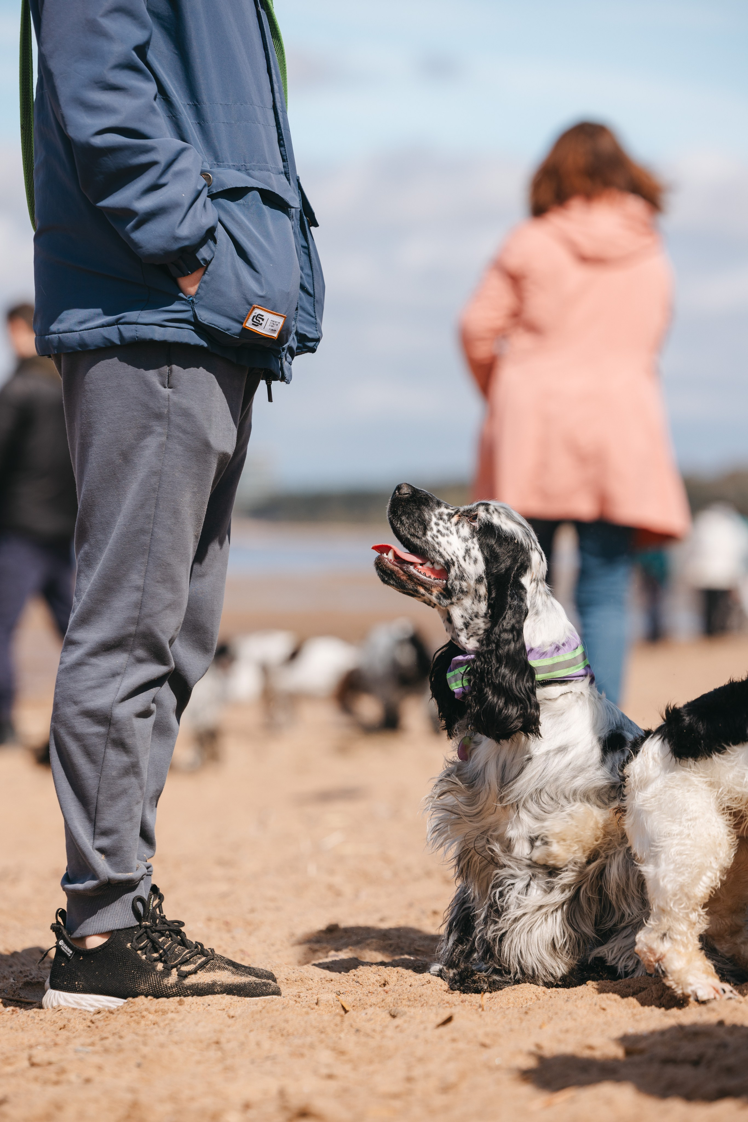 Спанимания. Фотограф анималист Осипчикова Мария