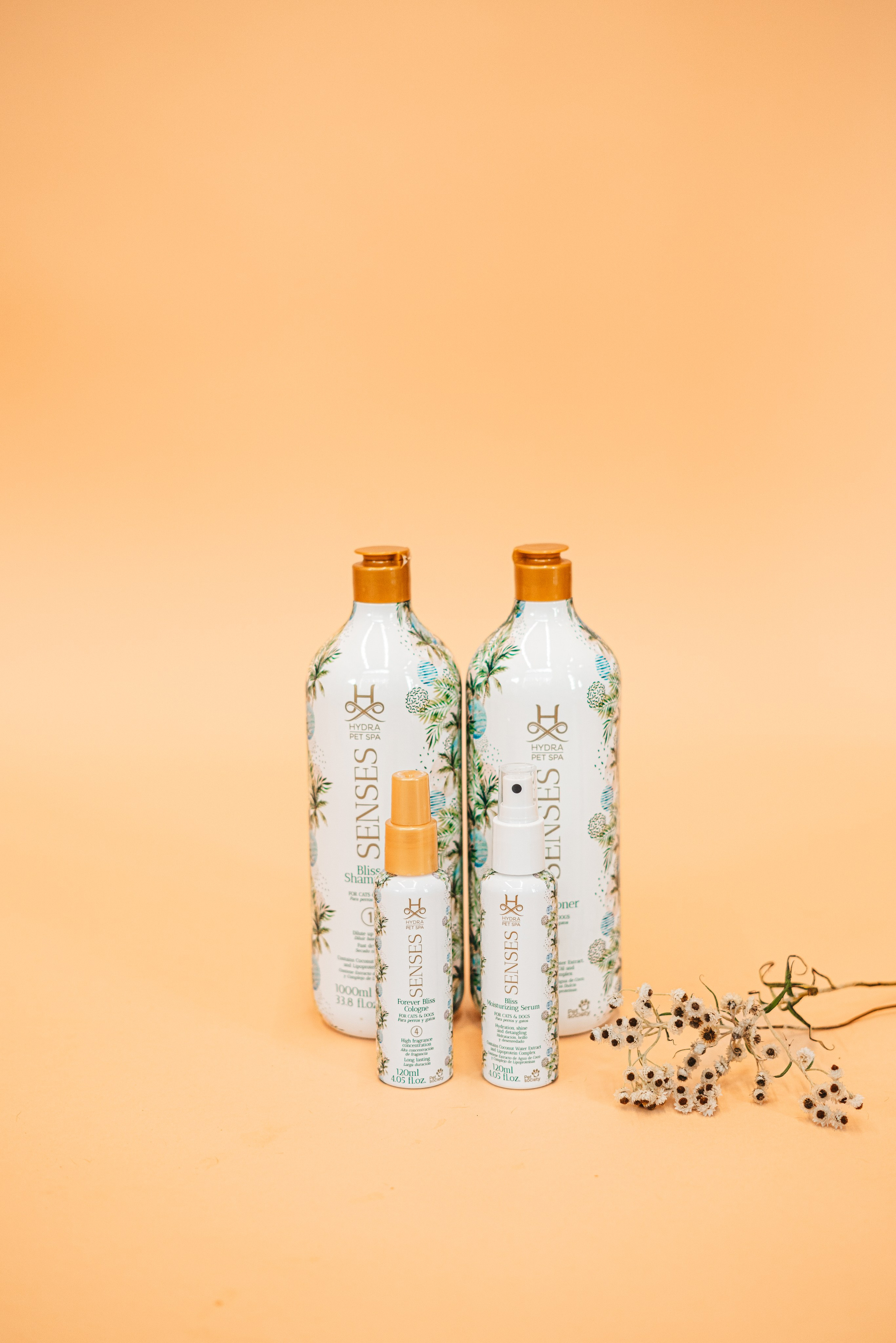 Груминг — салон. Фотограф анималист Осипчикова Мария