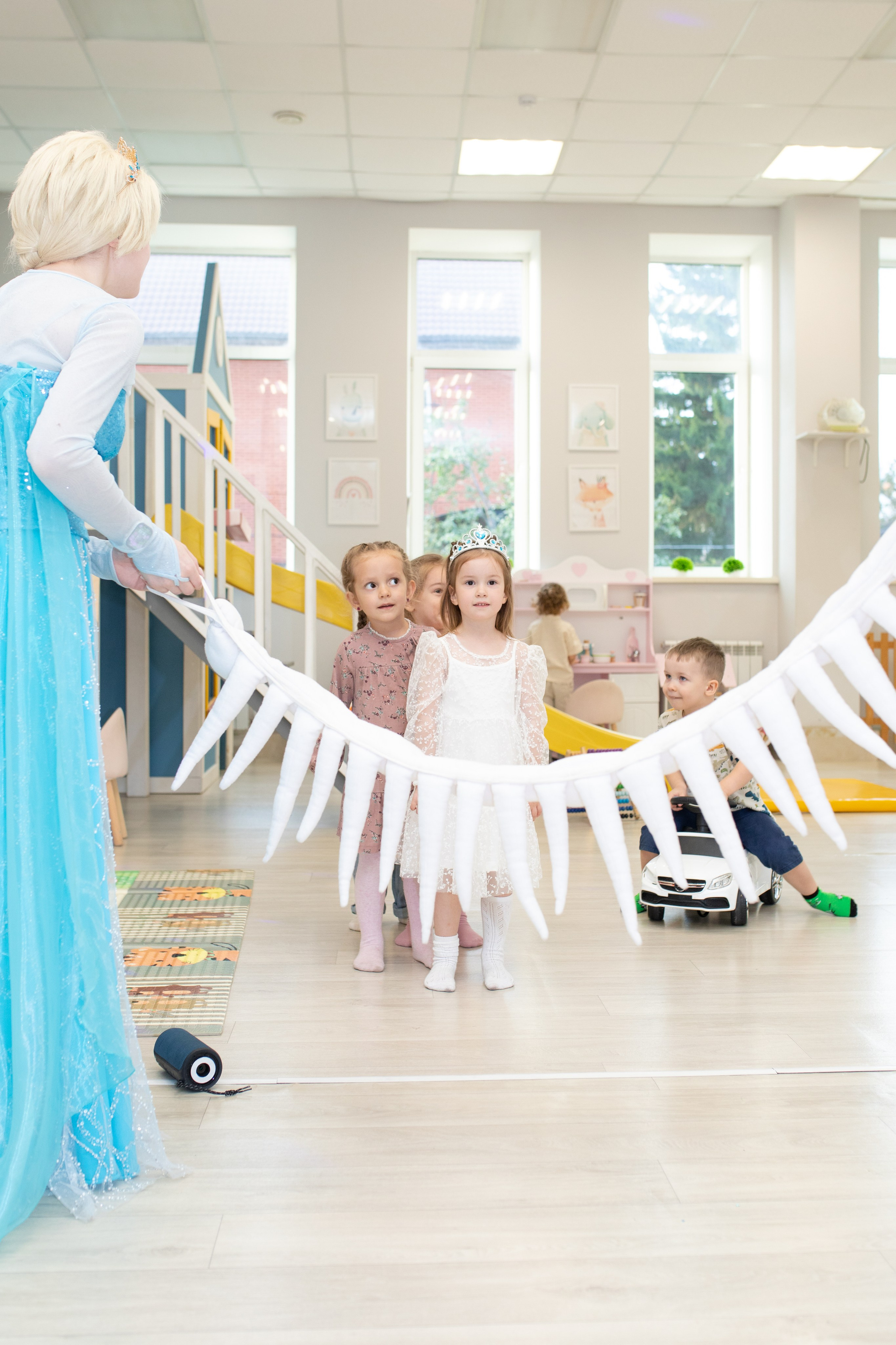 Доммик -Эльза. Фотограф в Новосибирске Ася Зверева