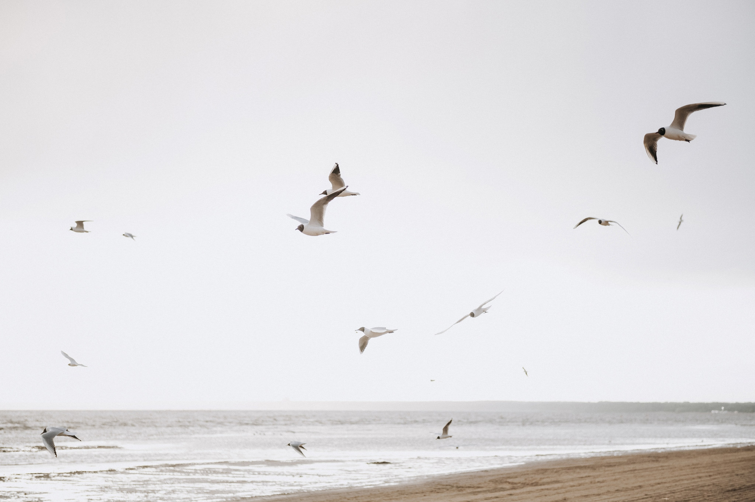 Love-story на берегу Финского залива. Главная