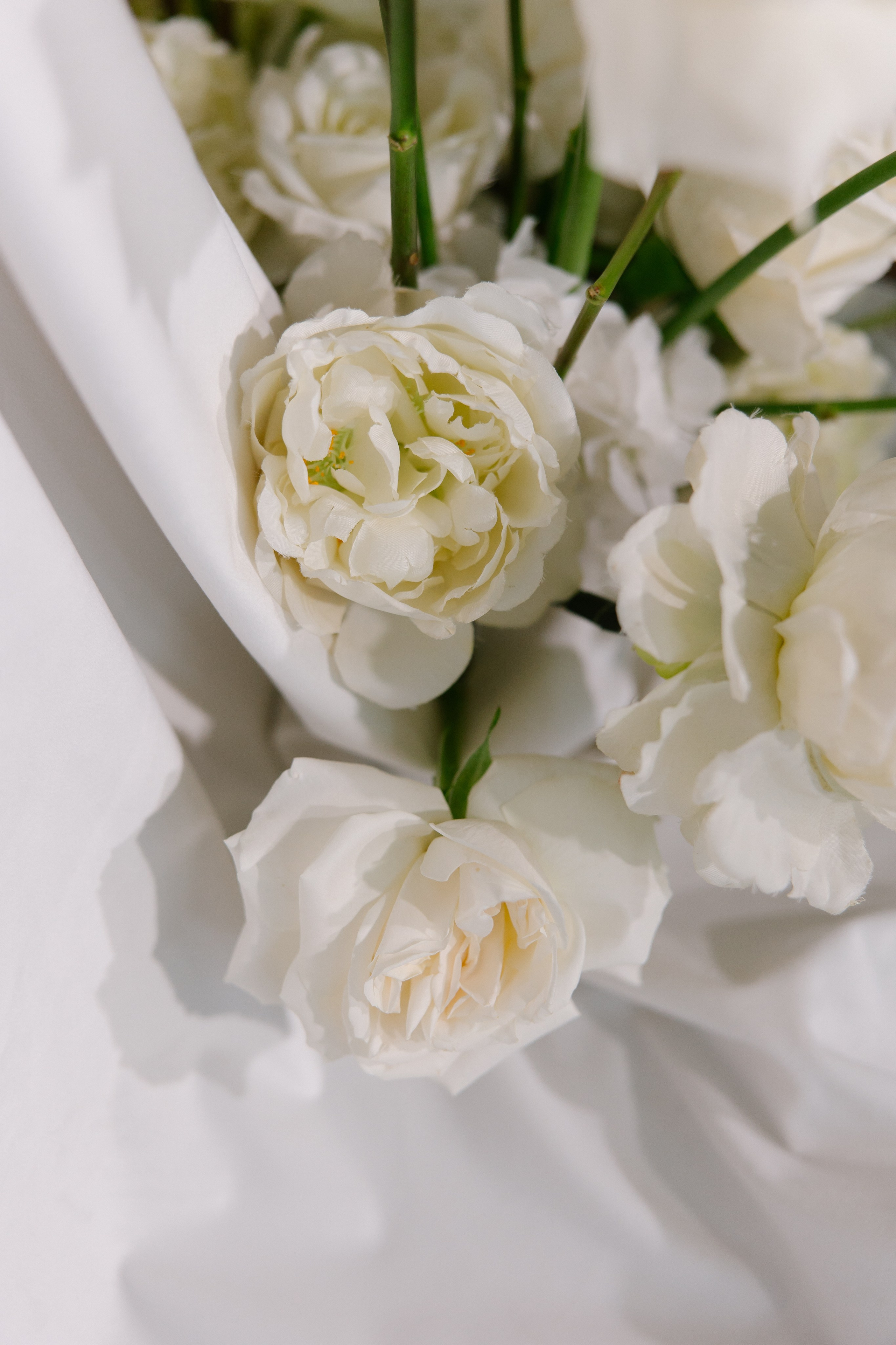 Полина & Тигран. Photographer Smyslova Lilia