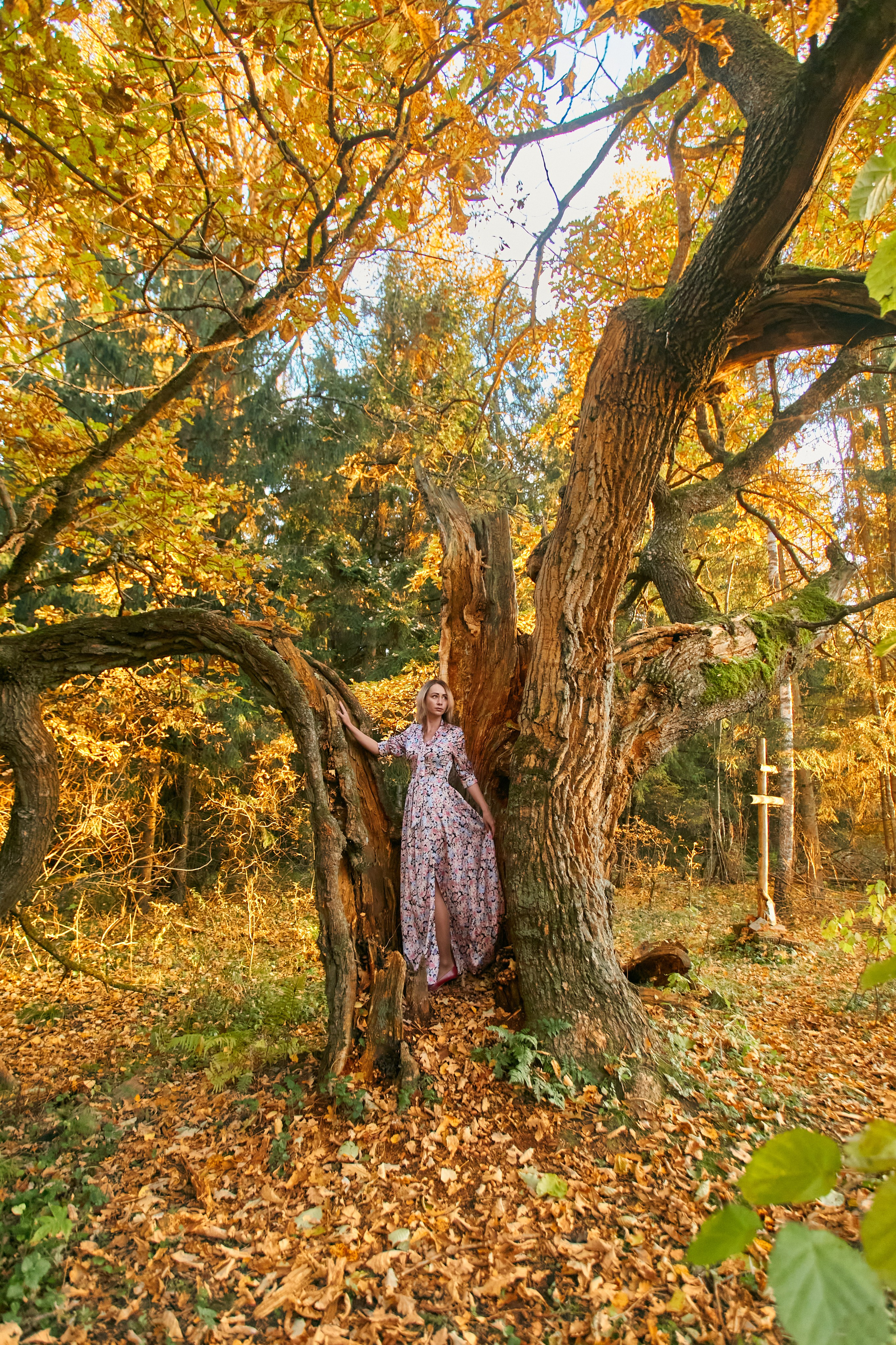 Портрет. Фотограф Михаил Коган — Москва 89267284460