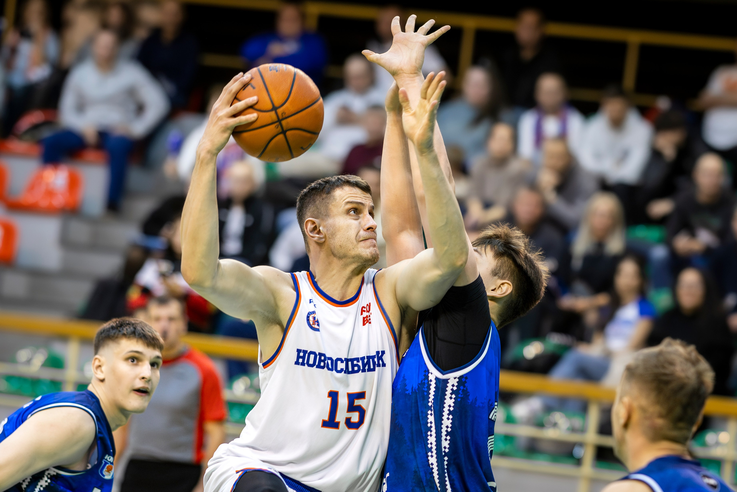 Баскетбол (БК Новосибирск) Сезон 2025-2026. Bertran Ordo