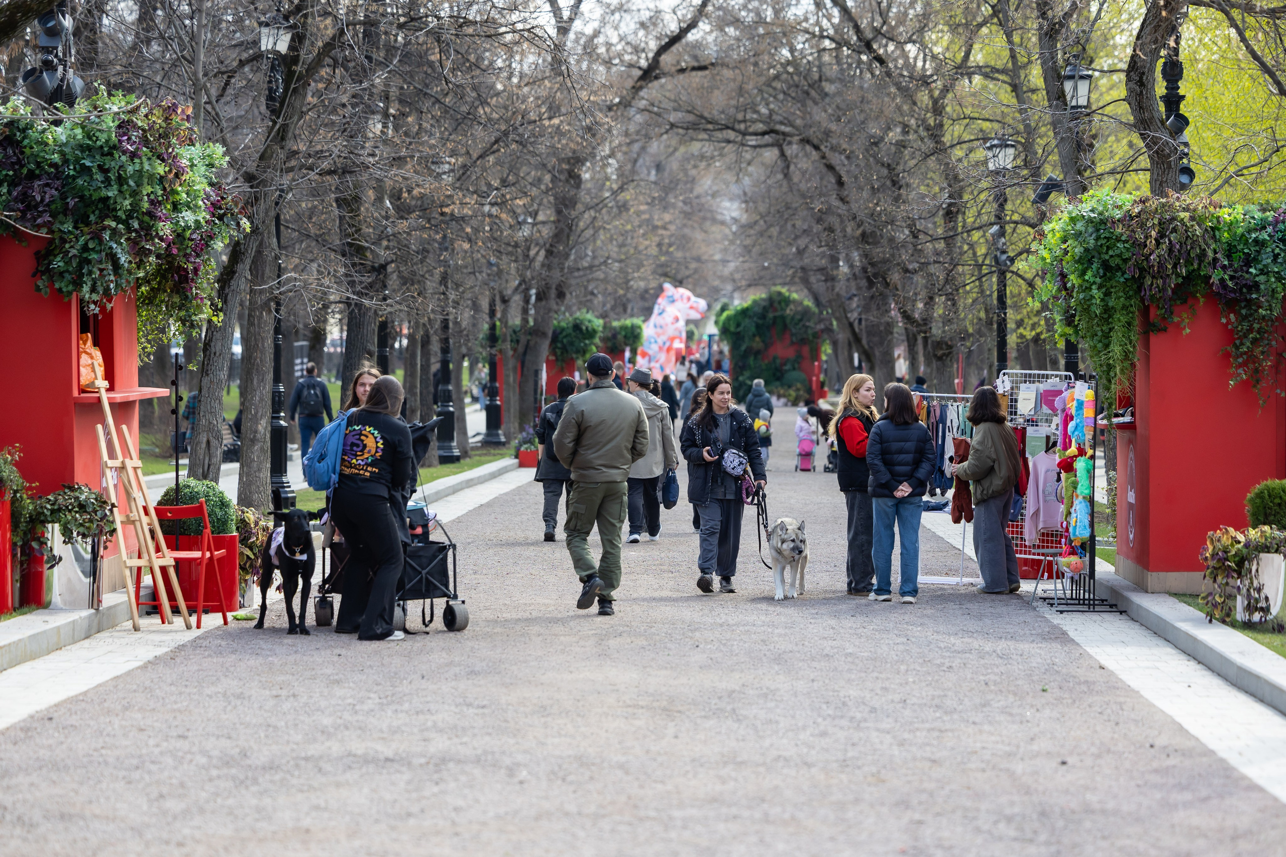 Проект «Моспитомец» на Тверском бульваре. Фотограф Владимир Охрименко