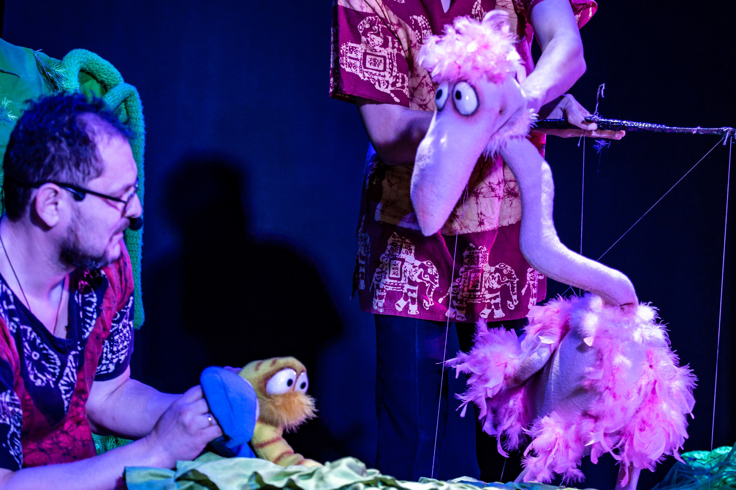 Любопытный слоненок спектакль театра Саквояж. Фотограф в Сочи Юрий Шептаев