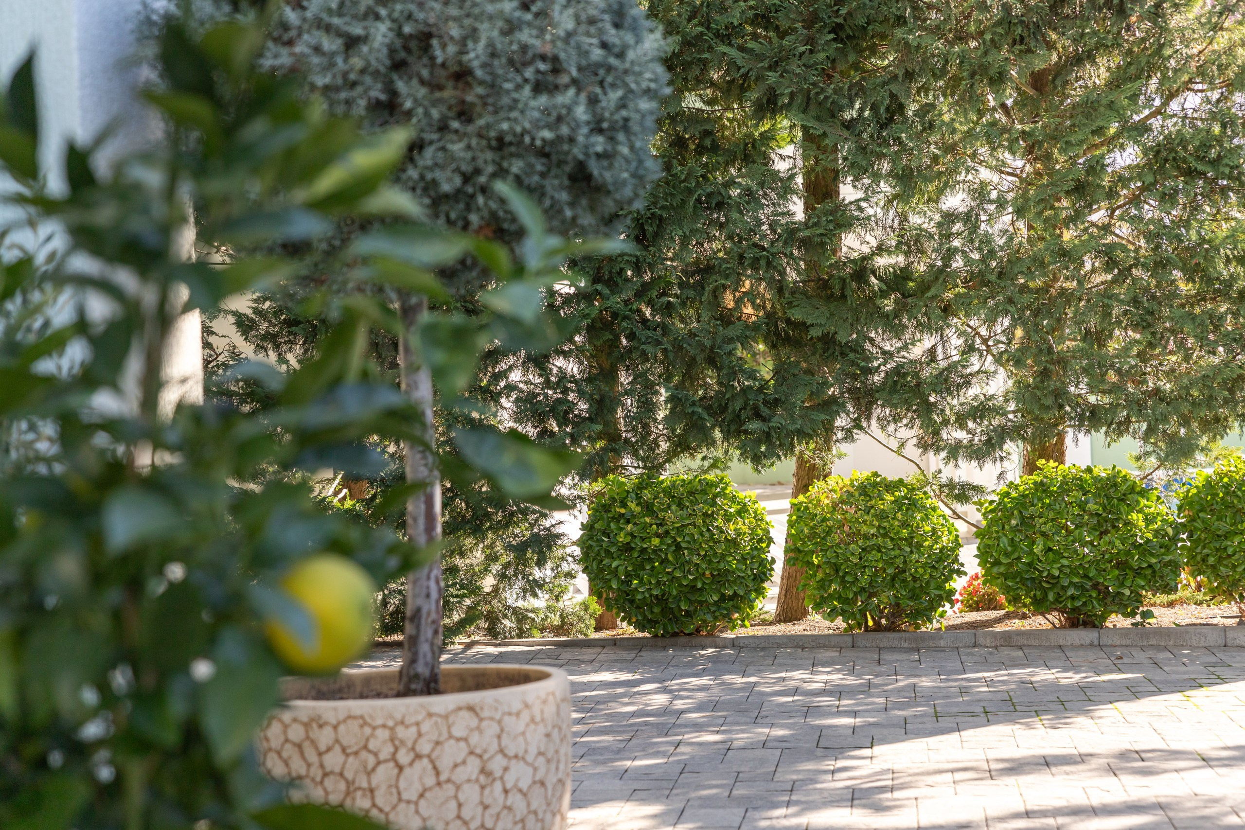 Фотосъёмка отель Диона Геленджик — интерьерный фотограф Евгений Суковатых