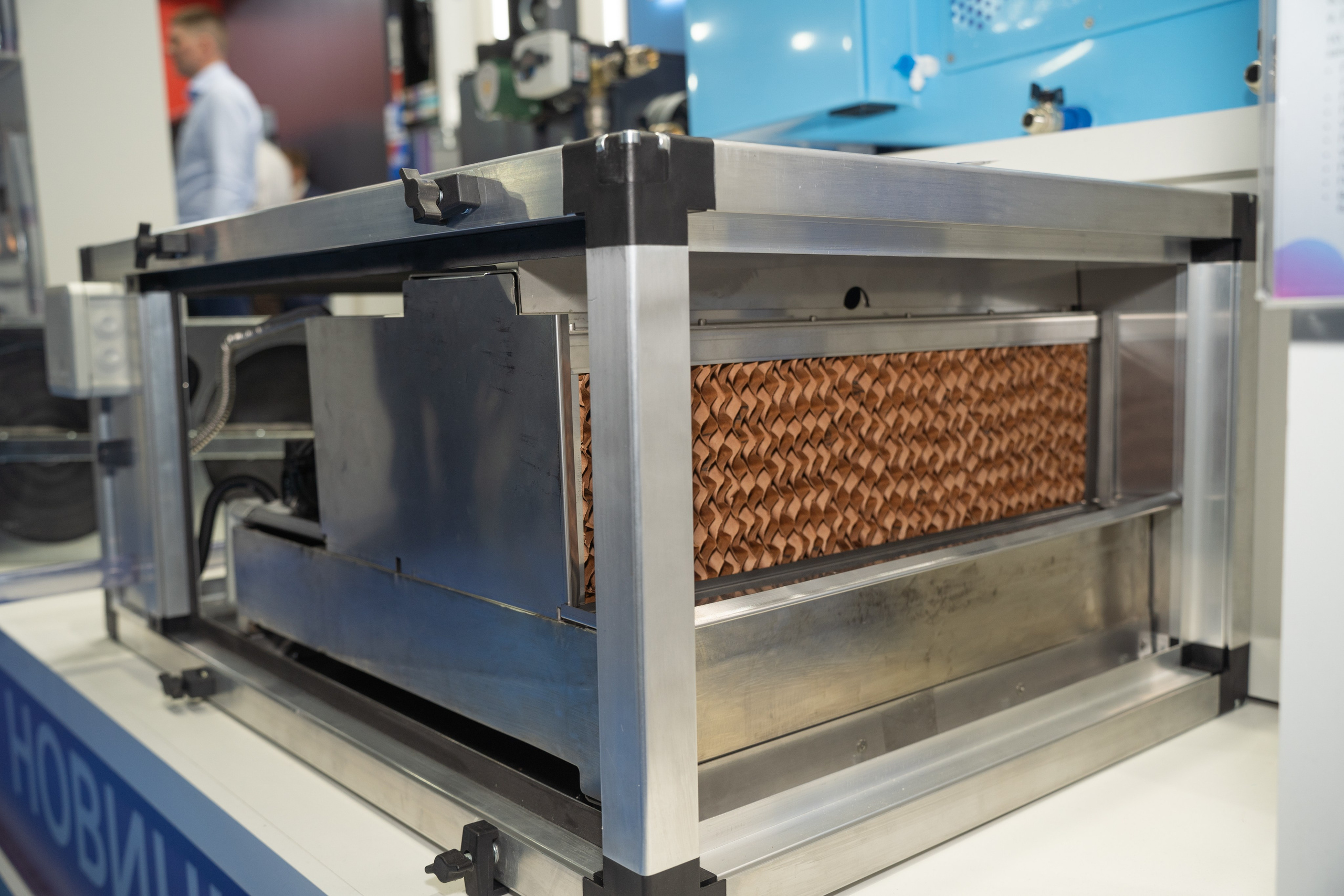 Крокус Вентиляция. Фотограф Зинаида Евдокимова