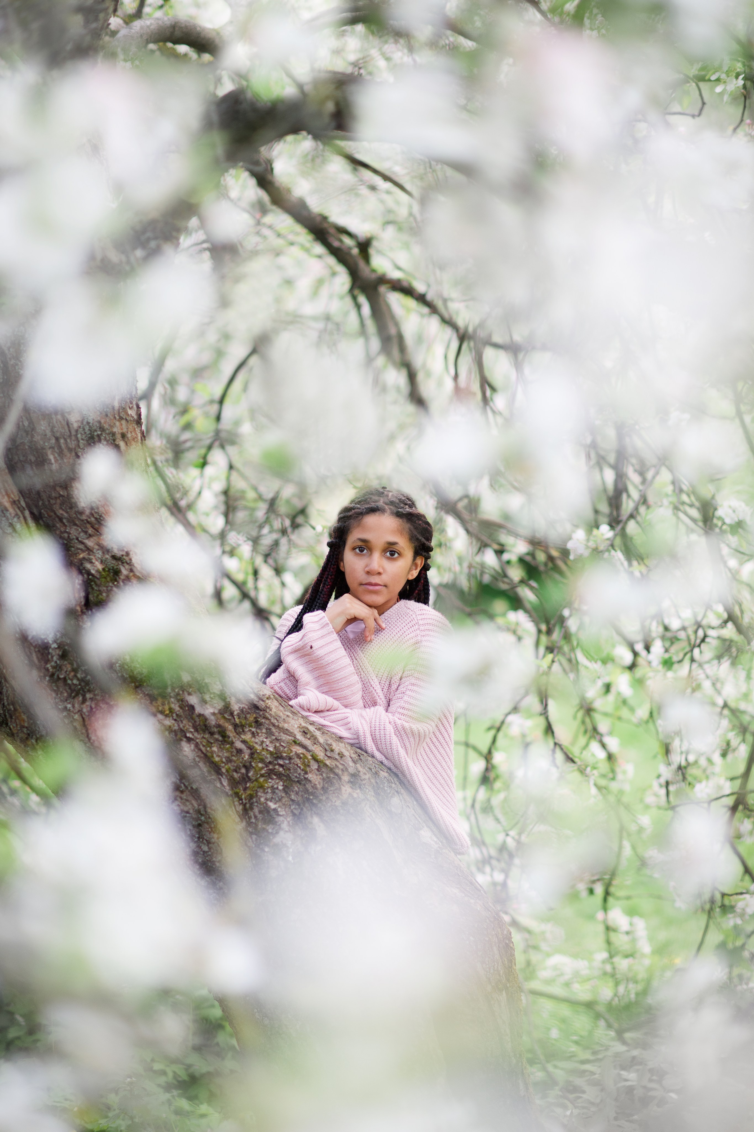 Яблони в Коломенском. Ясмина. Главная