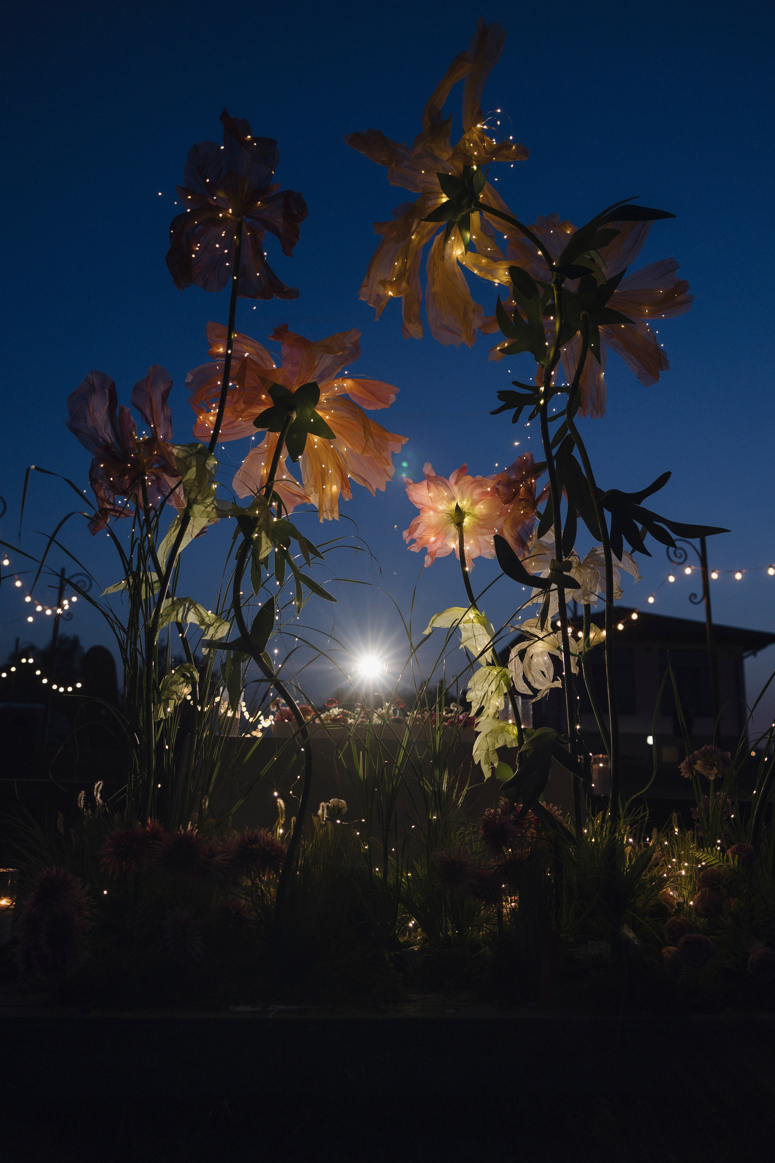 Никита и Полина. Свадебный фотограф Курск Максим Ноздрачев