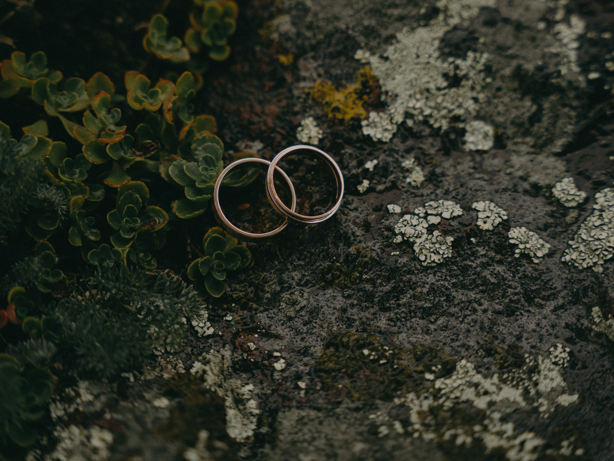 Сердце гор. Свадебный фотограф Ирина Беляева Пятигорск|Кисловодск|Эльбрус|Домбай