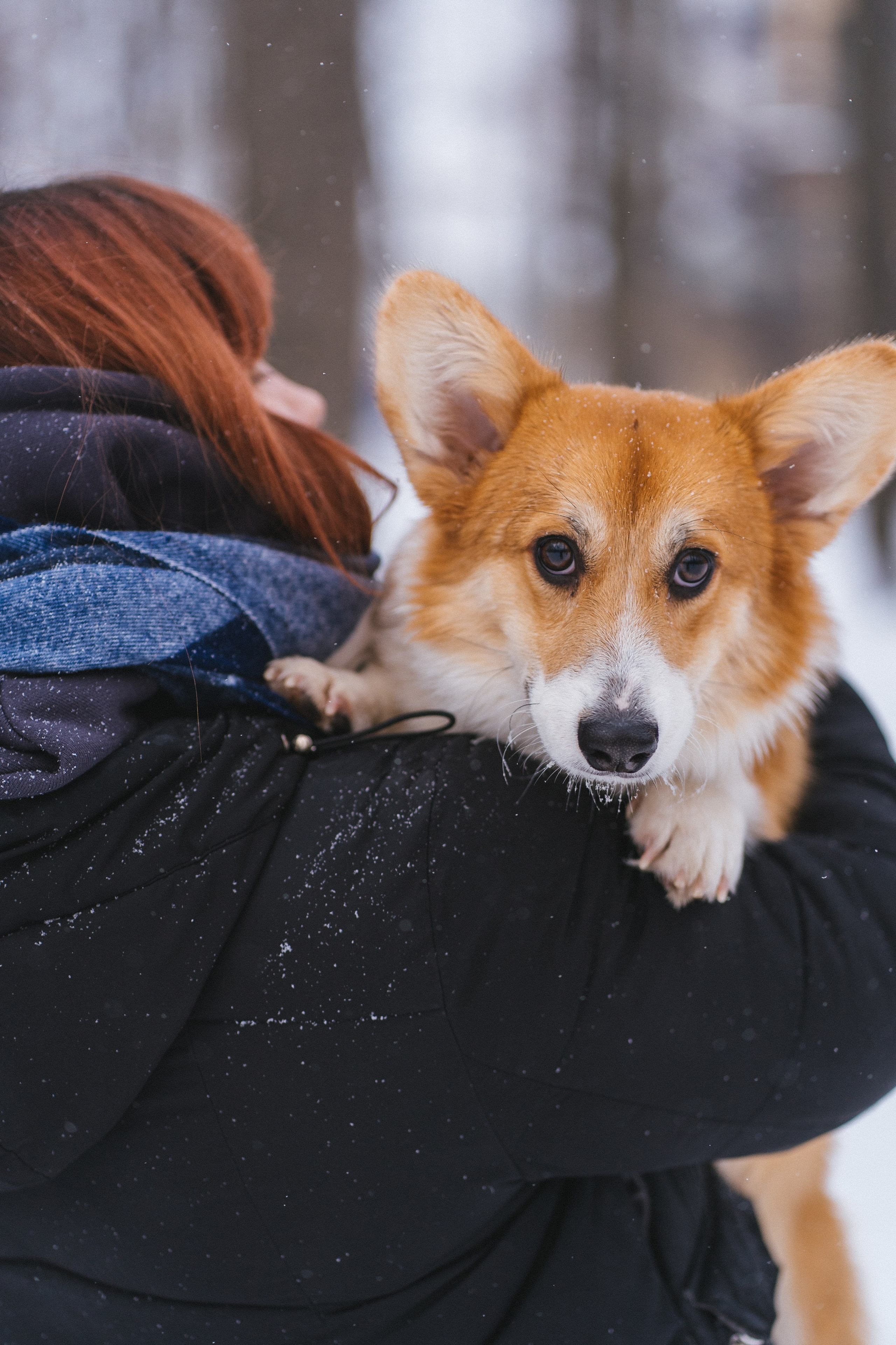 Агата и Лайк. Свадебный фотограф в Москве Анна Полушина