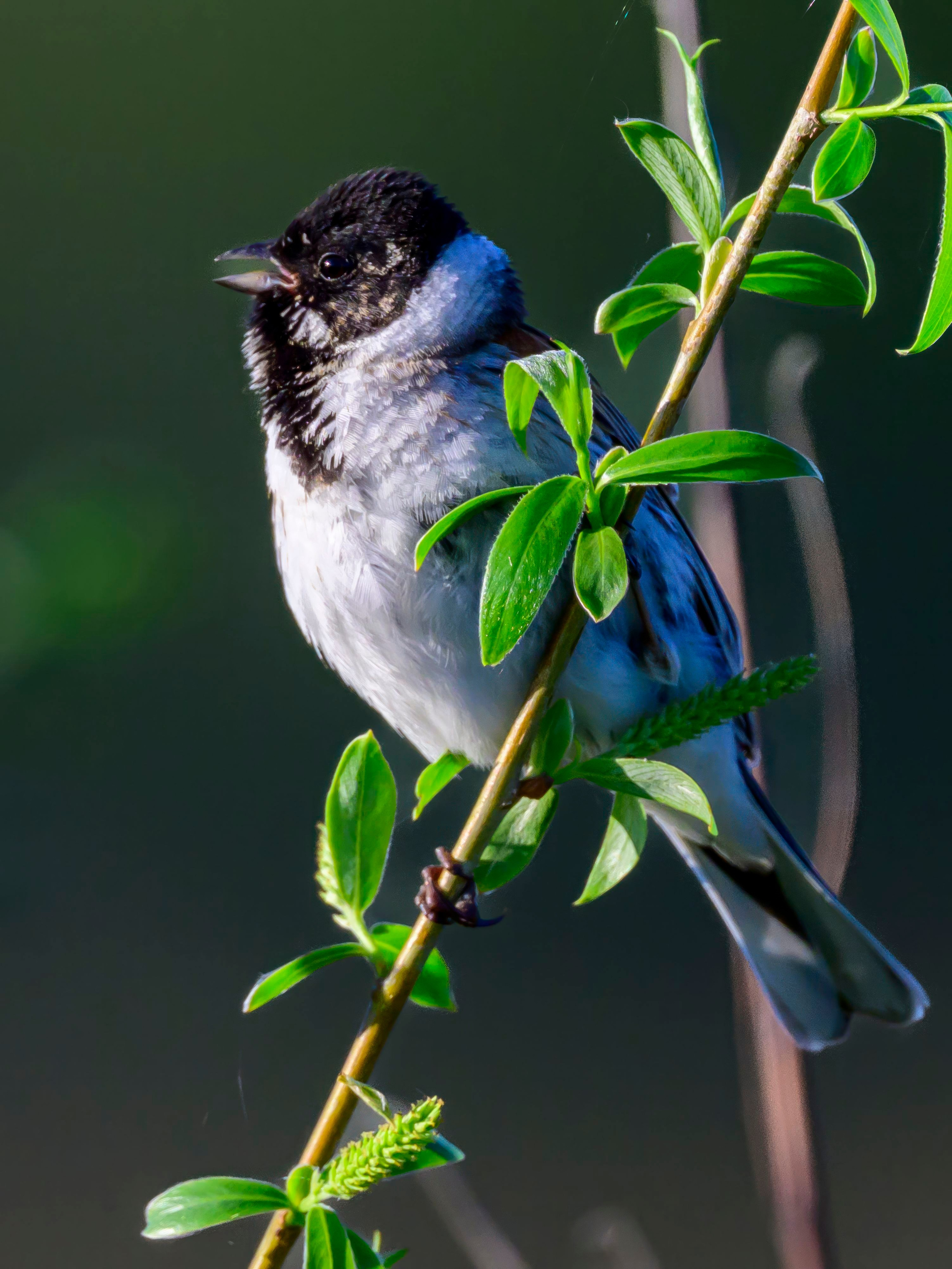 Дмитров. Фотограф Сергей Пупонин