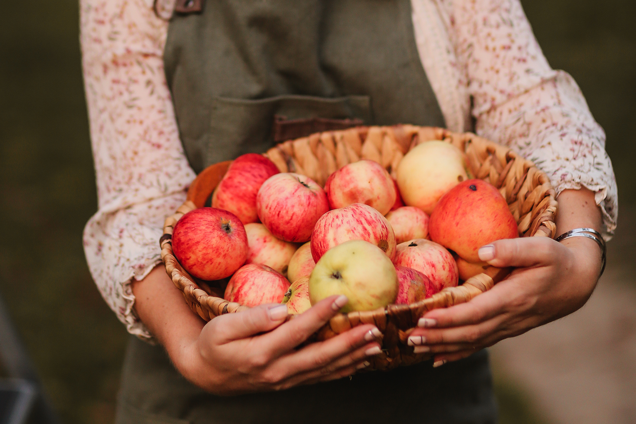 Аня и Дима, сбор урожая яблок. Семейный фотограф в Москве Марина Петра