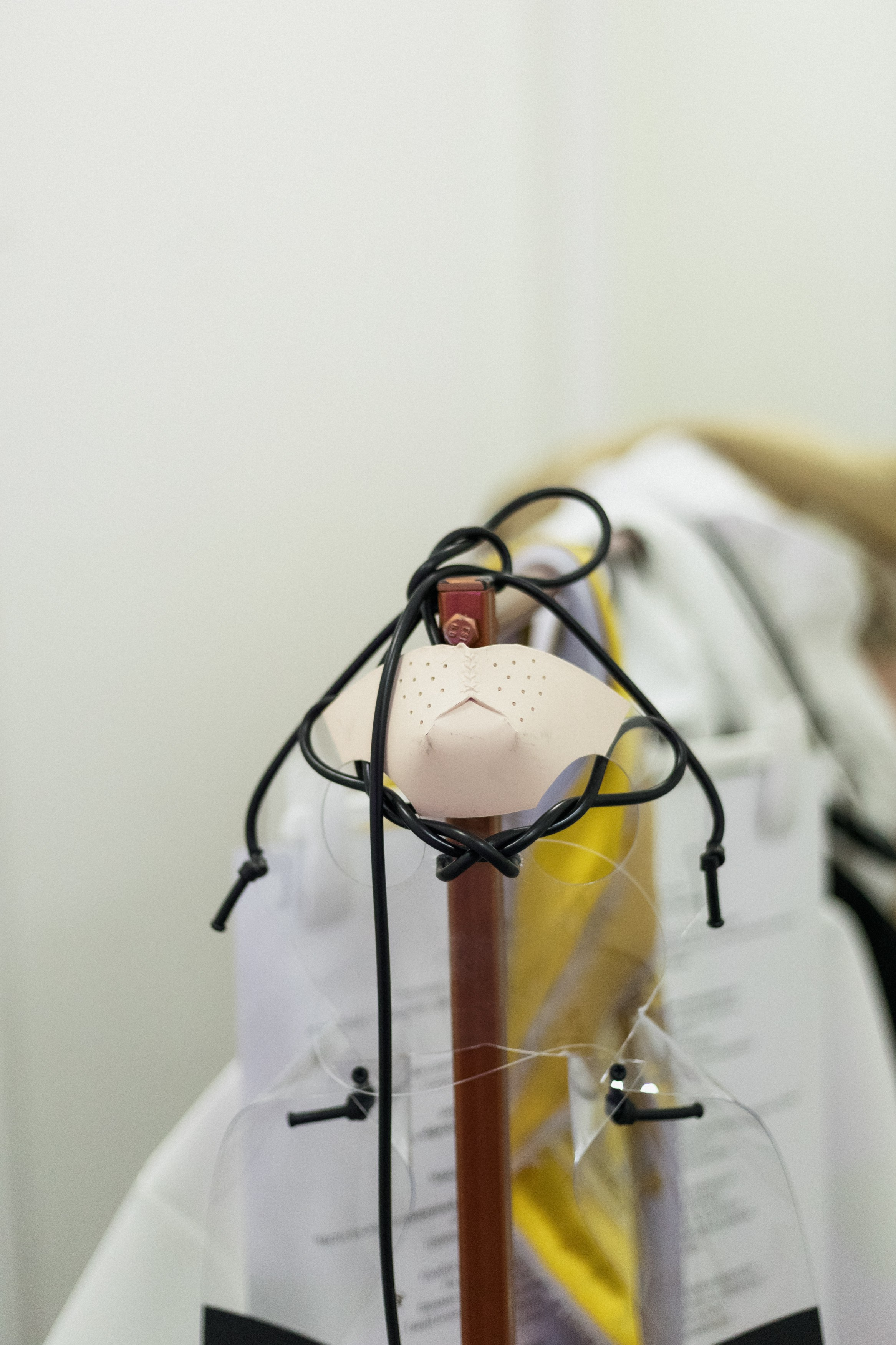 DGD WILD PINK. СВОИ. ФОТООТЧЕТЫ-СОБЫТИЯ-МЕСТА