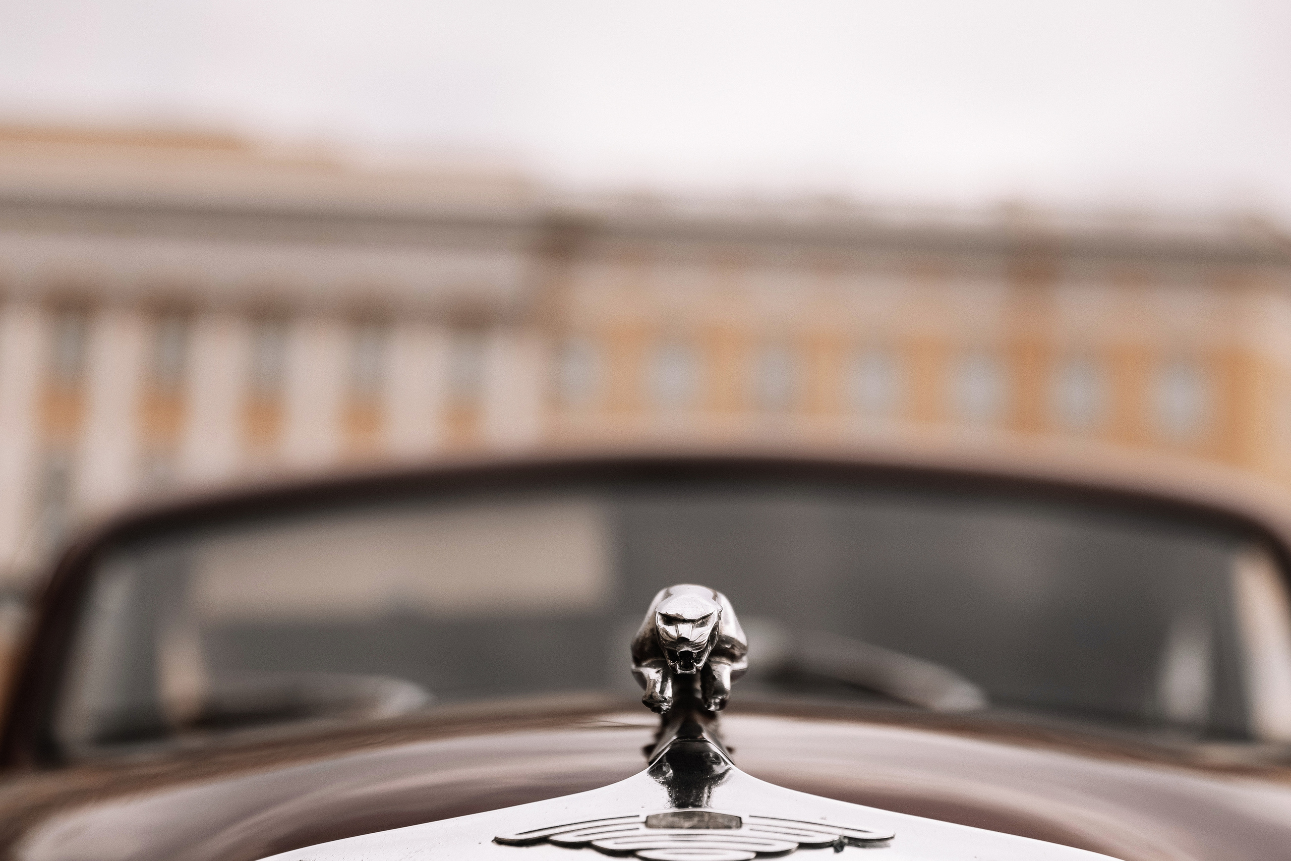 Аня и Алексей. Свадебный и семейный Фотограф Денис Кошель