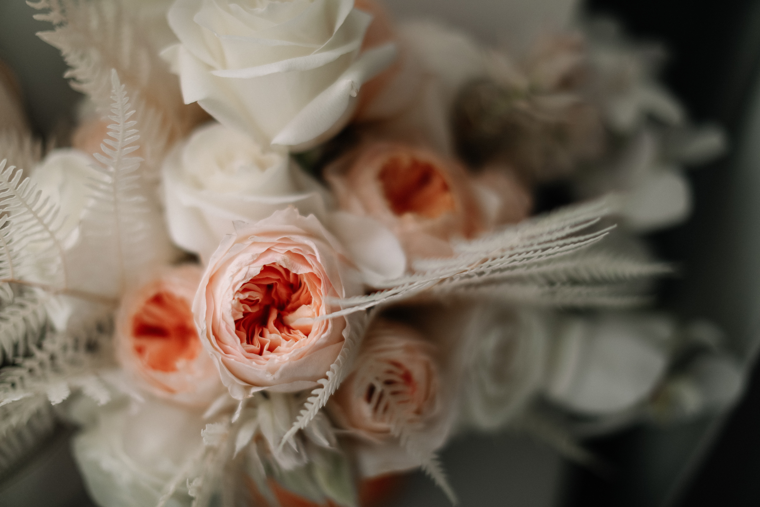 Аня и Алексей. Свадебный и семейный Фотограф Денис Кошель