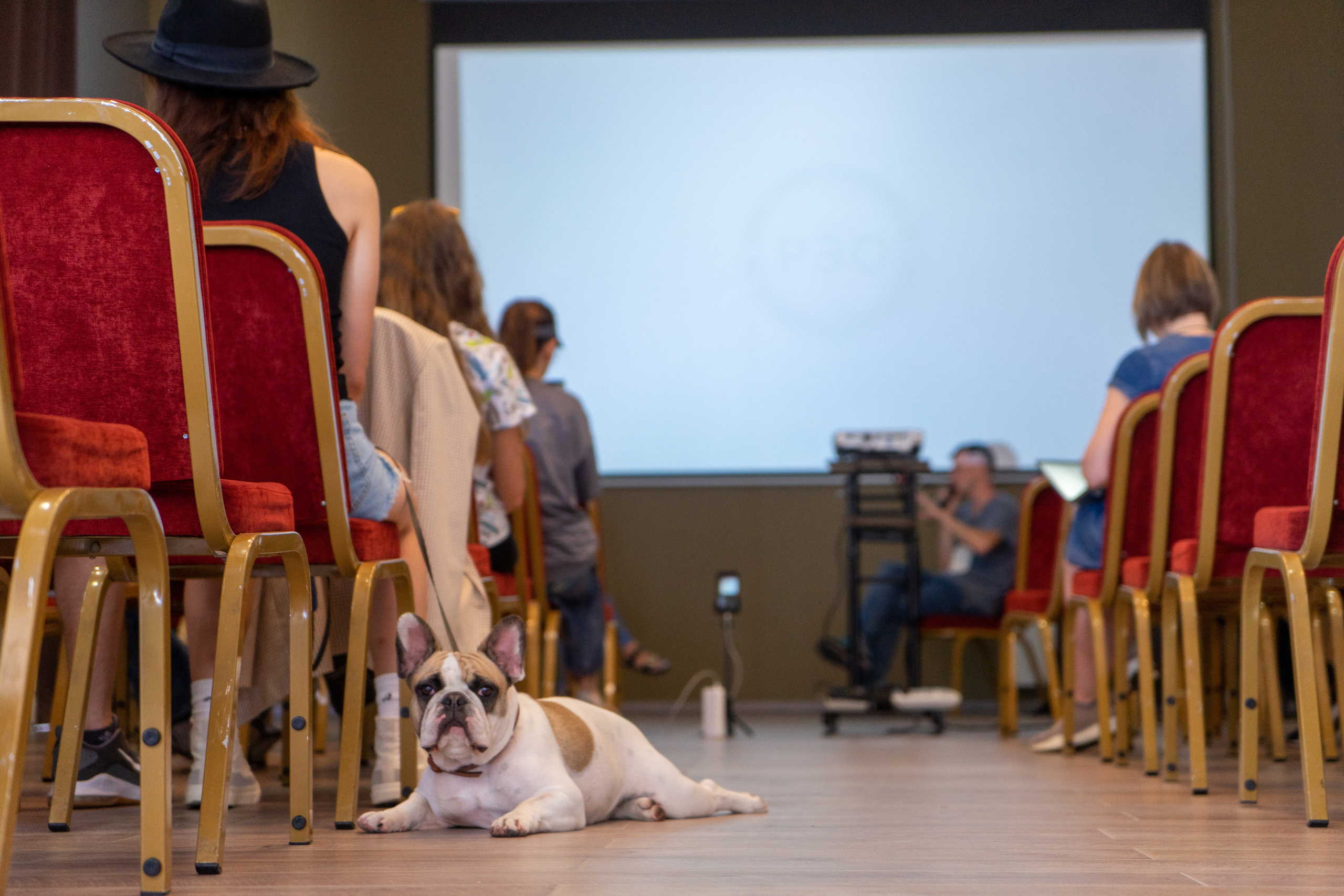 Конференция в Сочи. Фотограф в Сочи Тиунова Маргарита и Тиунов Евгений