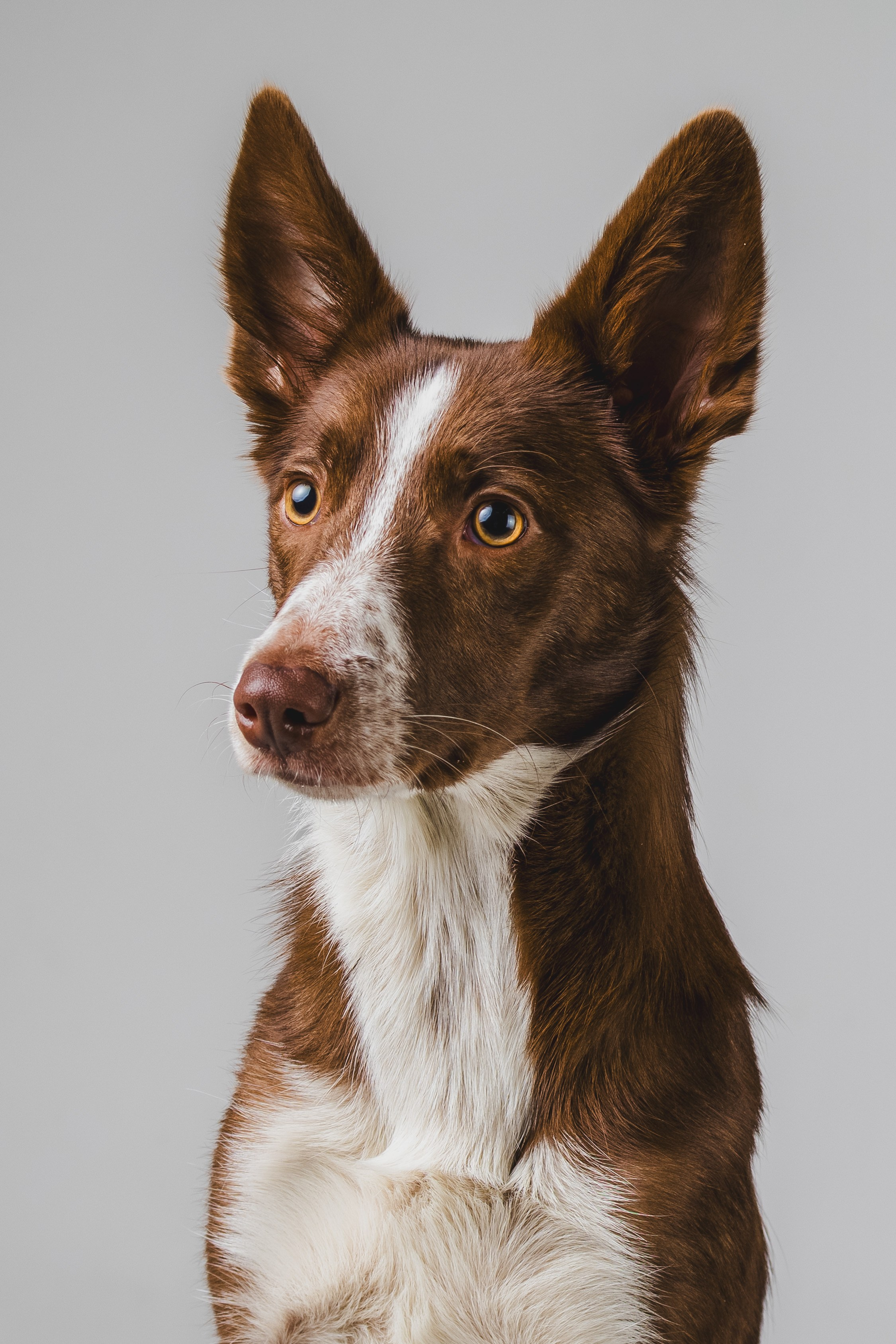 Воркшоп по импульсному свету