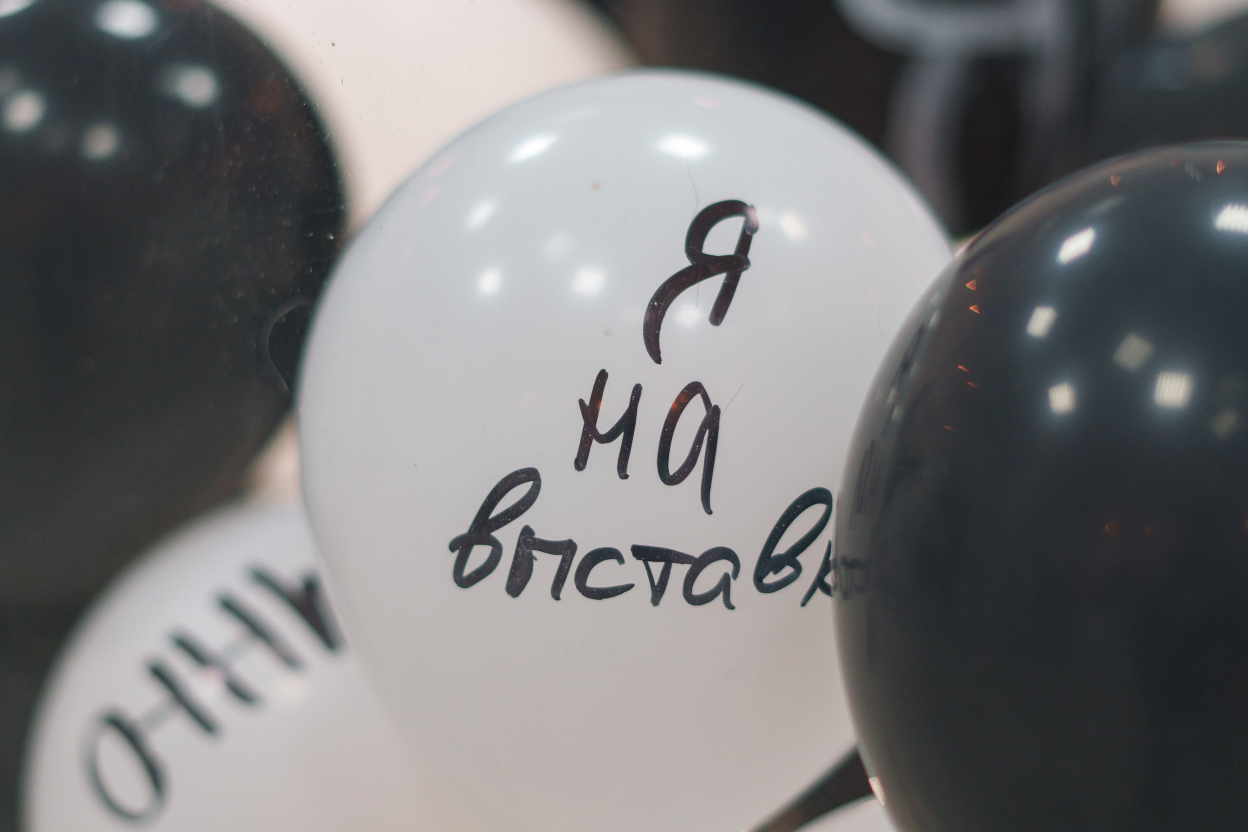 Открытие 11 фестиваля анималистики «Зооарт». Фотограф в Санкт-Петербурге Ибрагимова Алина