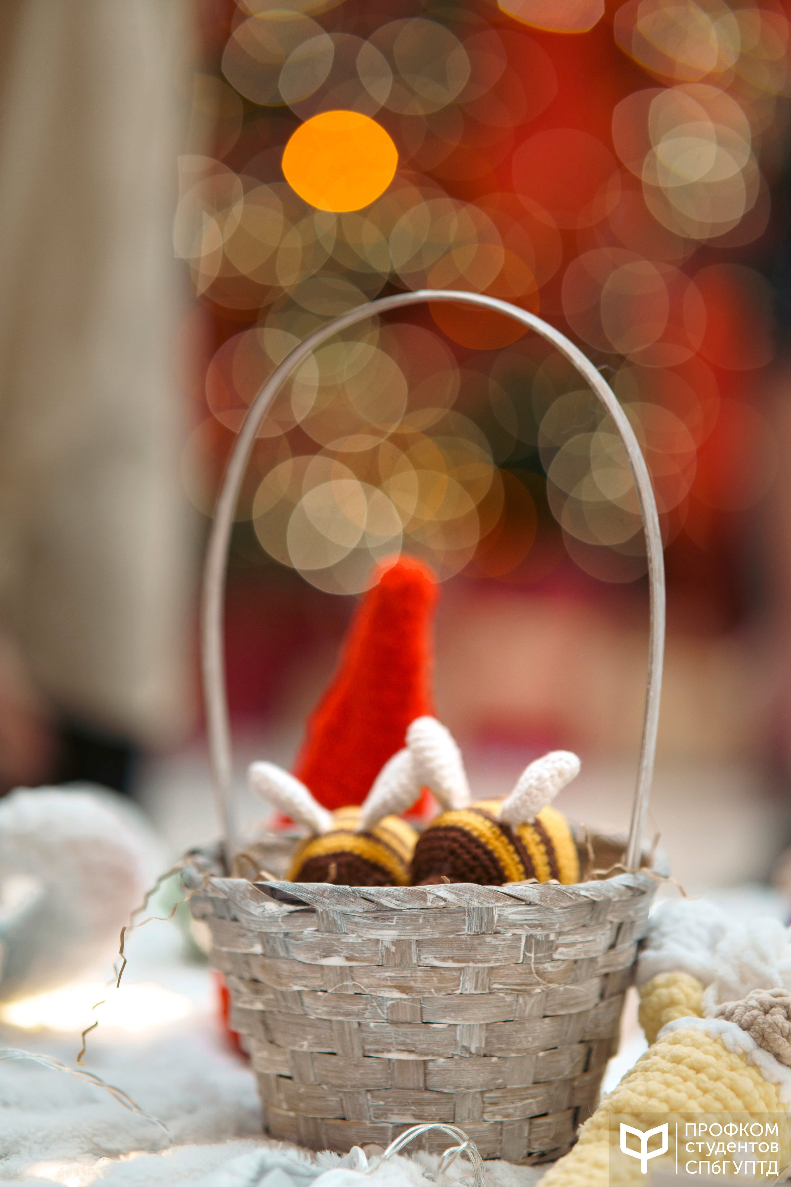 Новогодняя ярмарка 2024. Фотограф в Санкт-Петербурге Ибрагимова Алина