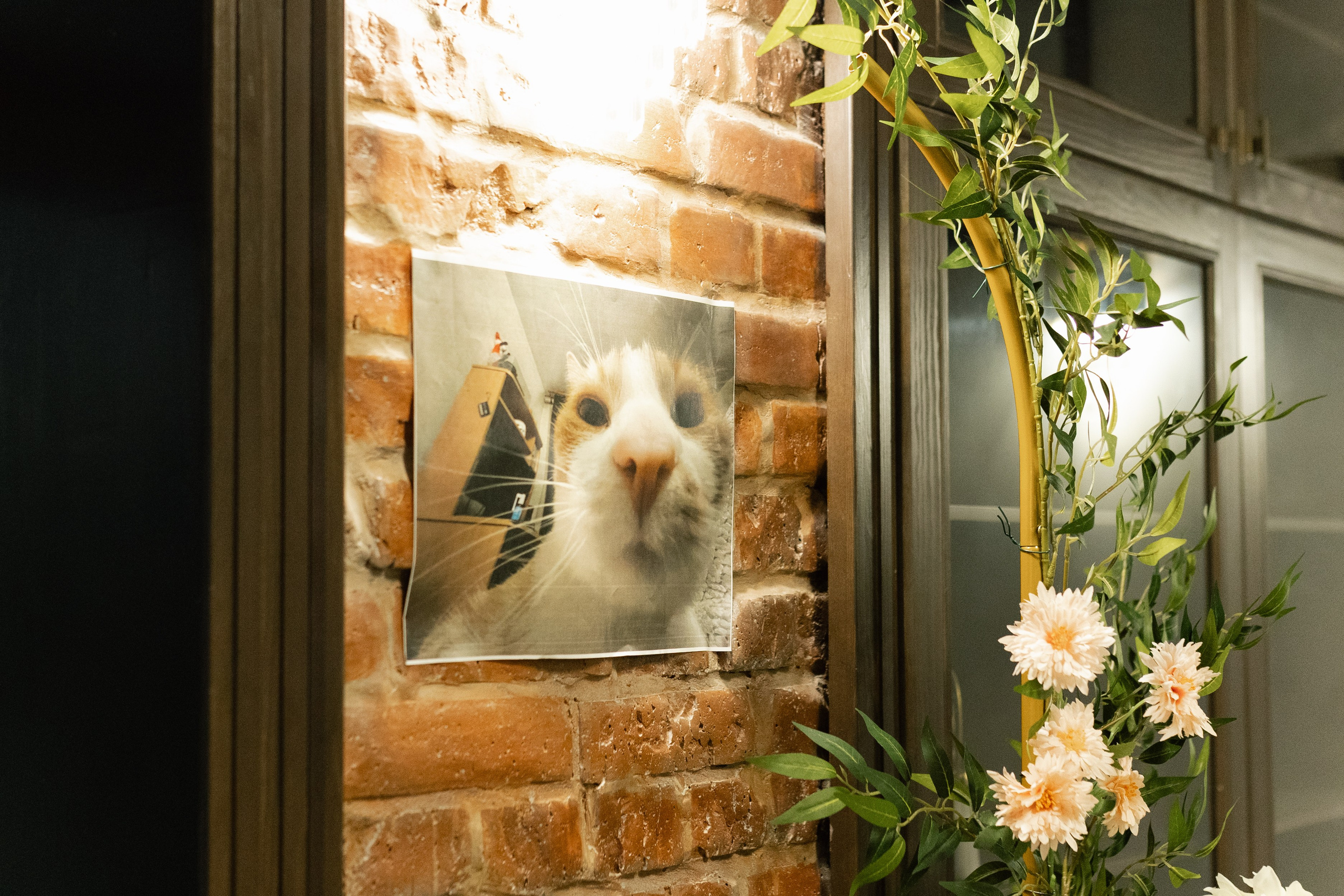 Maksim & Lia. Фотограф в Томске Ирина Павлуцкая