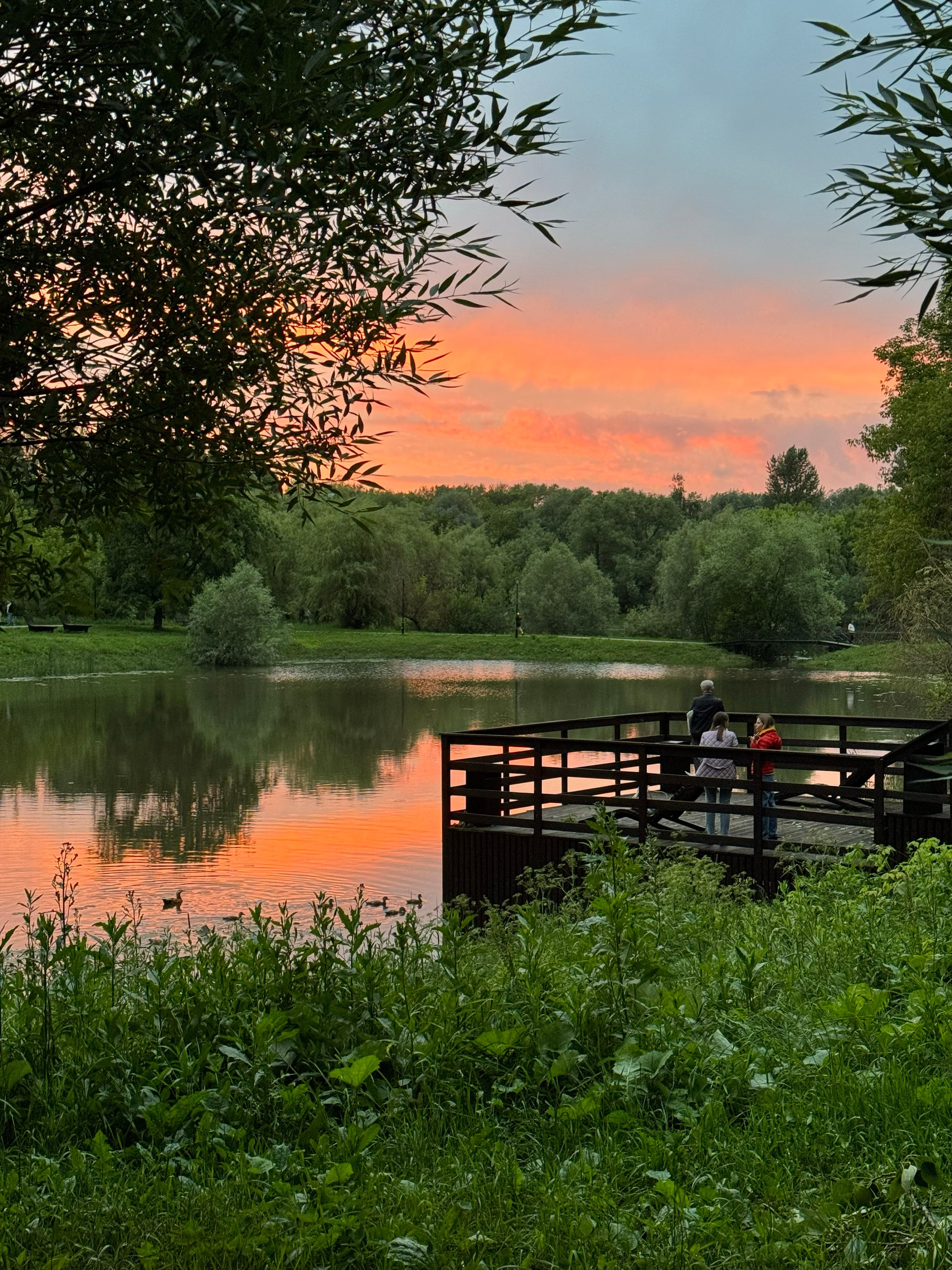 Закат в парке «Свибловские пруды»