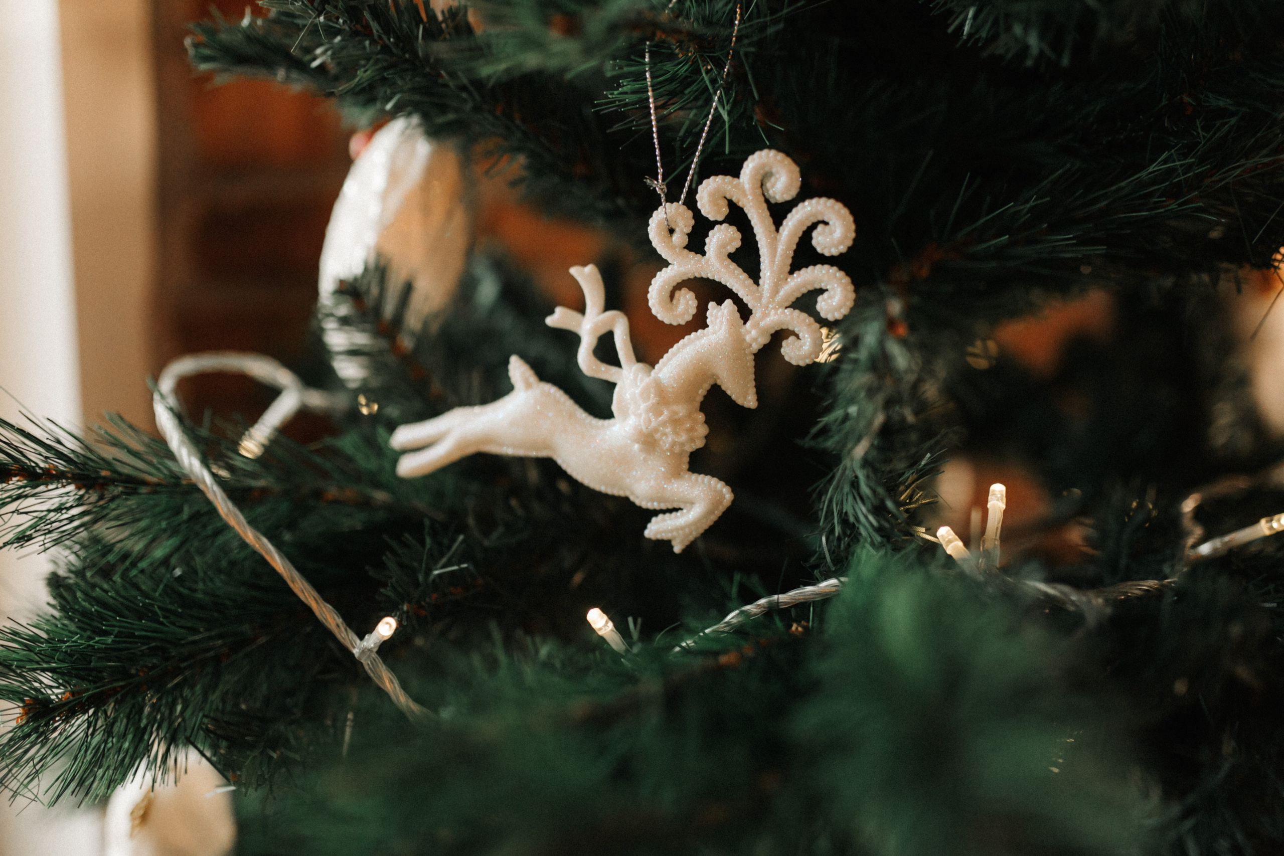 Студийные Семейные. Свадебный и семейный фотограф в Томске Алексей