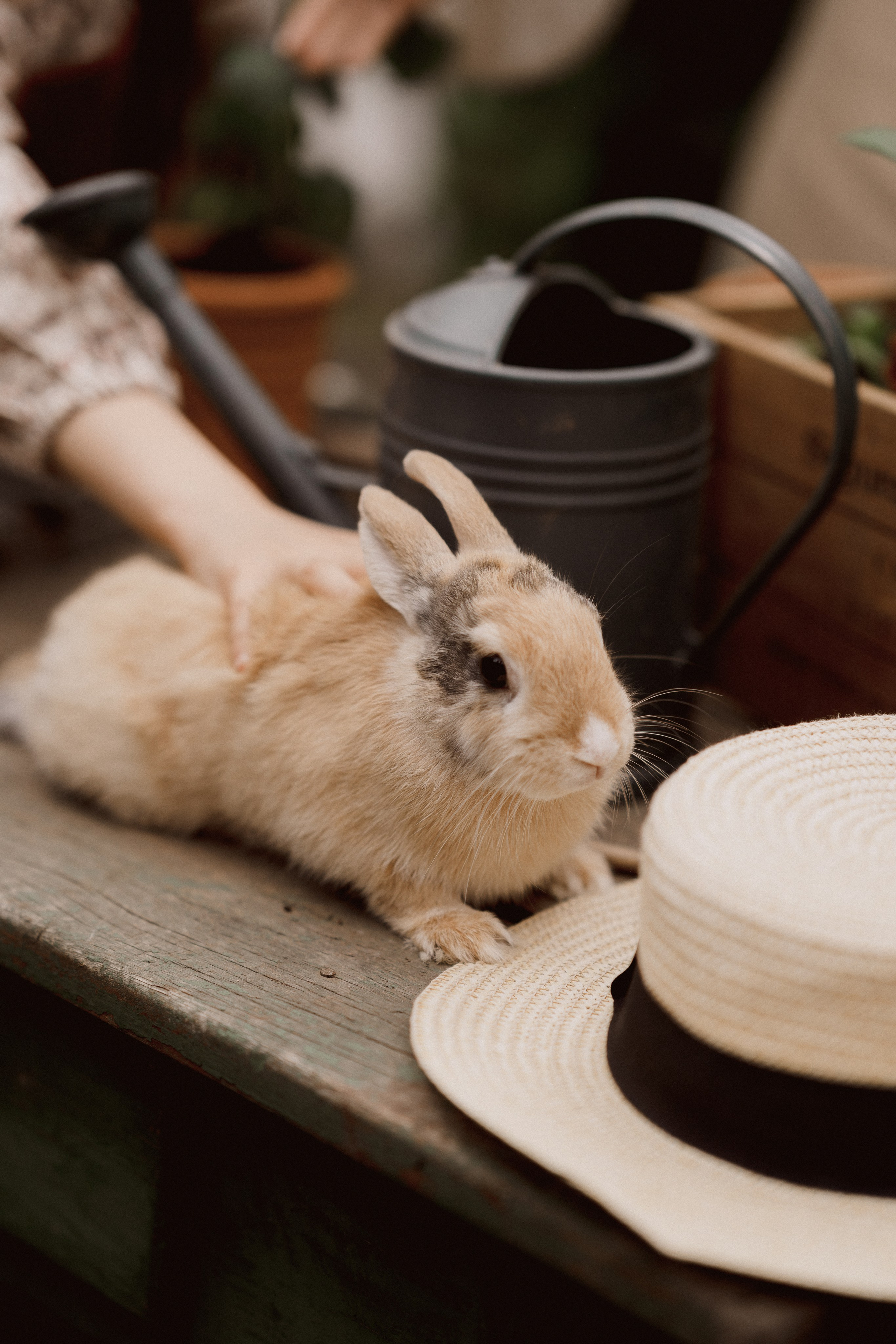 Летняя, семейная. Семейный и детский фотограф в Сергиев Посаде, Хотьково Якимчук Любовь