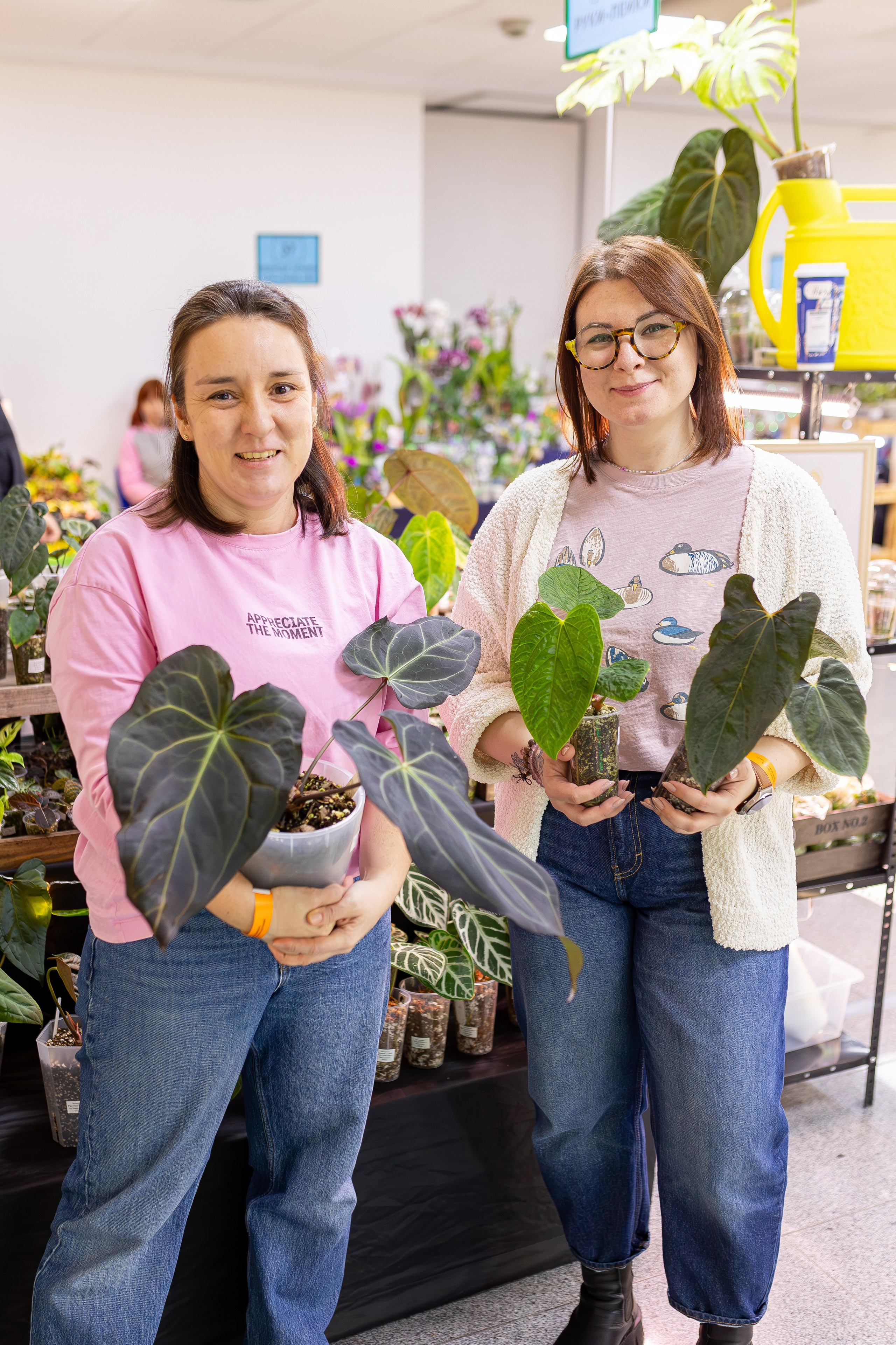 Орхидиум 12.2025. Александра Куликова фотограф, Москва