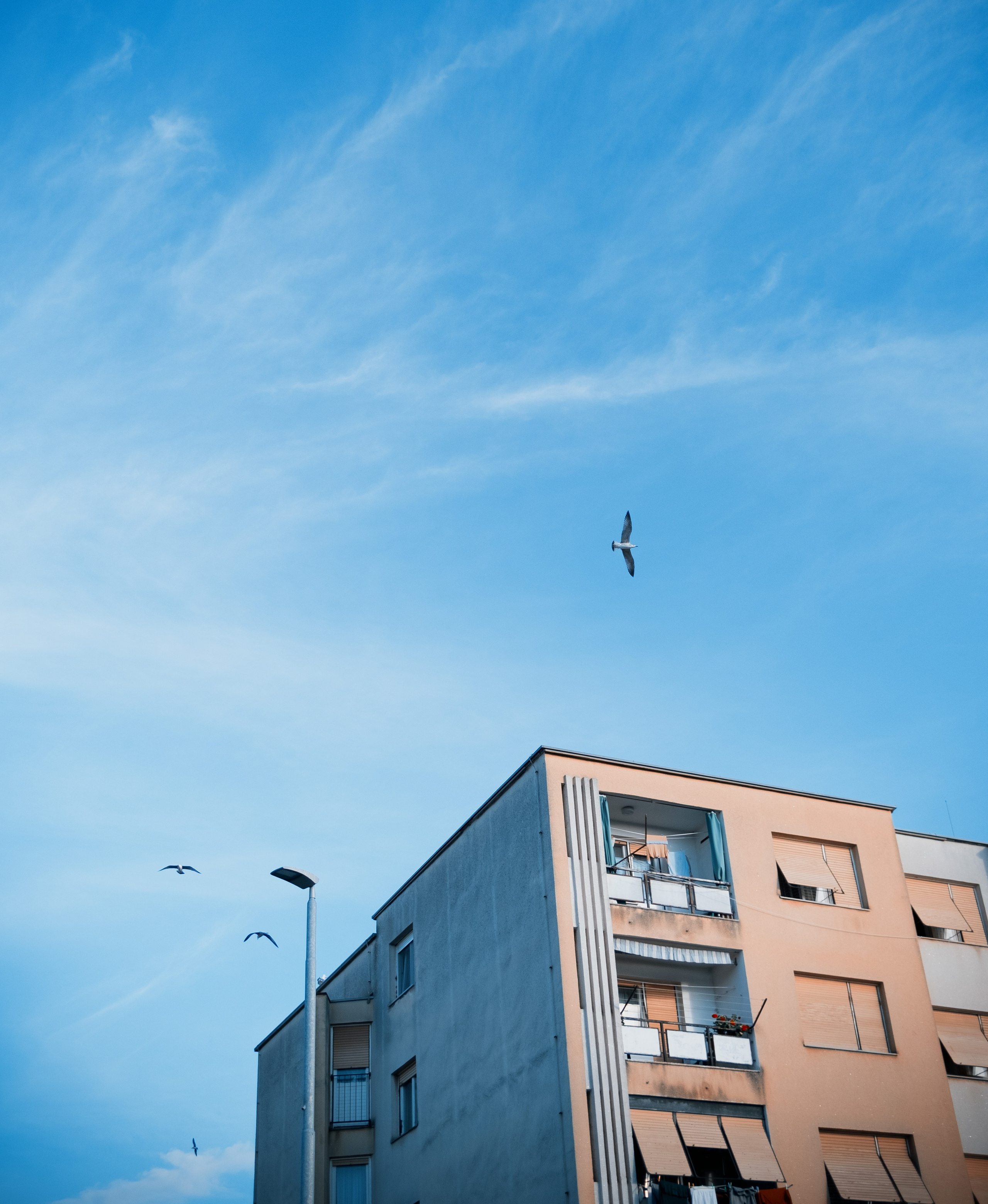 Стрит / Окружение / Архитектура. Фотограф Александр Чернышёв