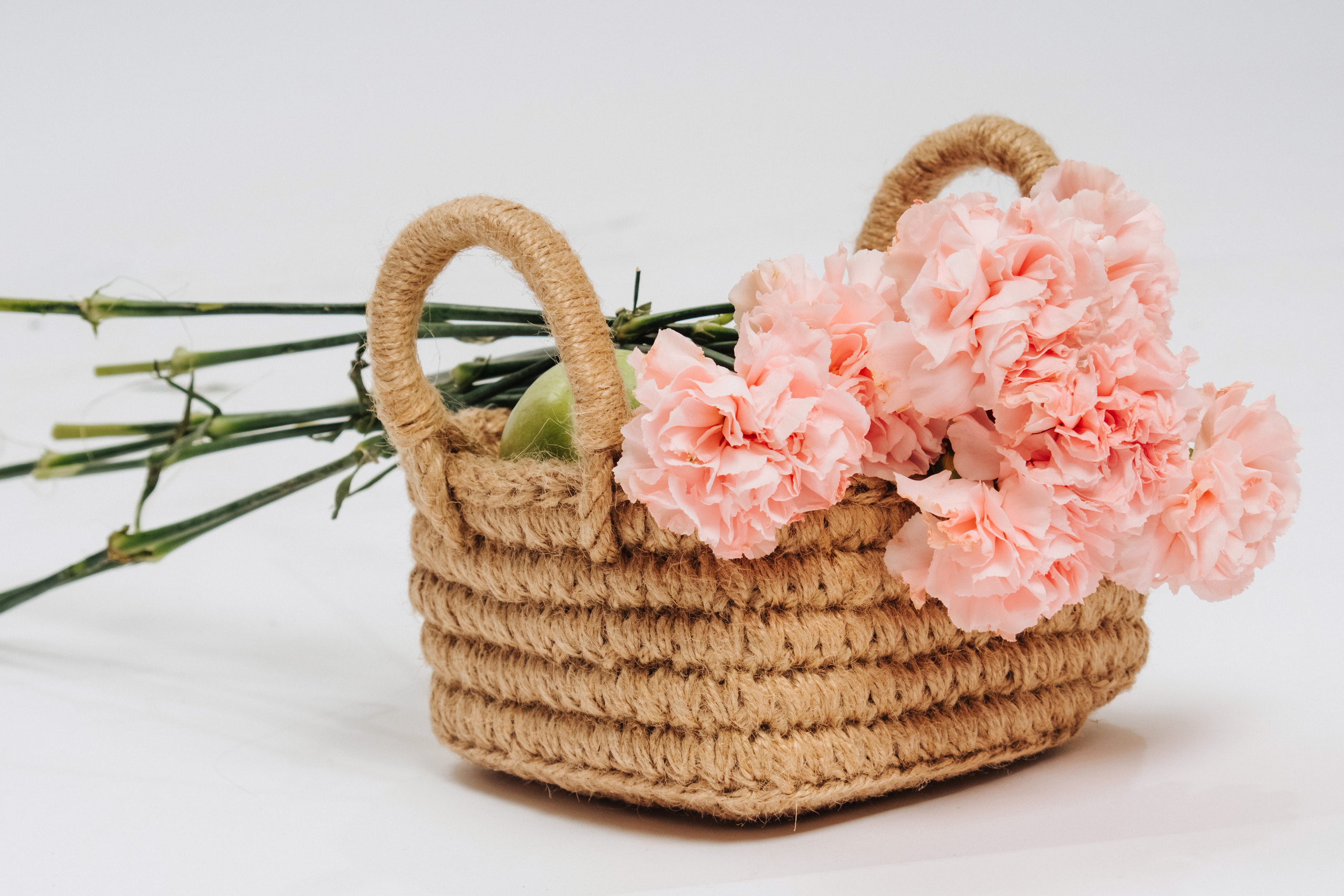 Фотостудия Анапа фотограф Анапа фотосессия Анапа. АНАПА ФОТОСТУДИЯ № 13