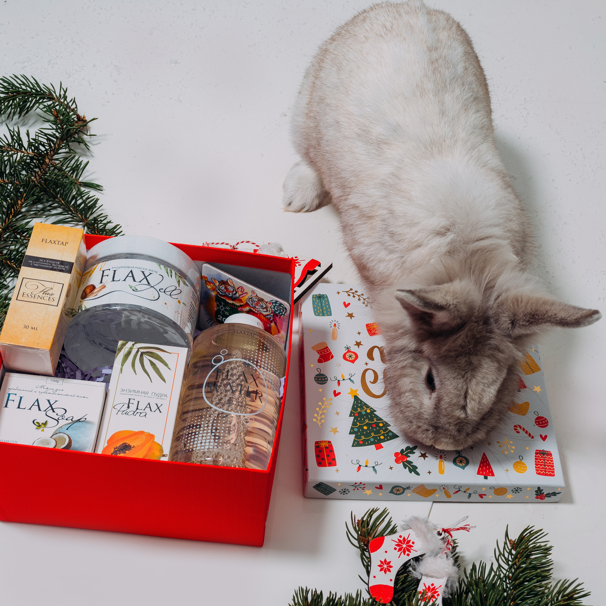 Фотостудия Анапа фотограф Анапа фотосессия Анапа. АНАПА ФОТОСТУДИЯ № 13