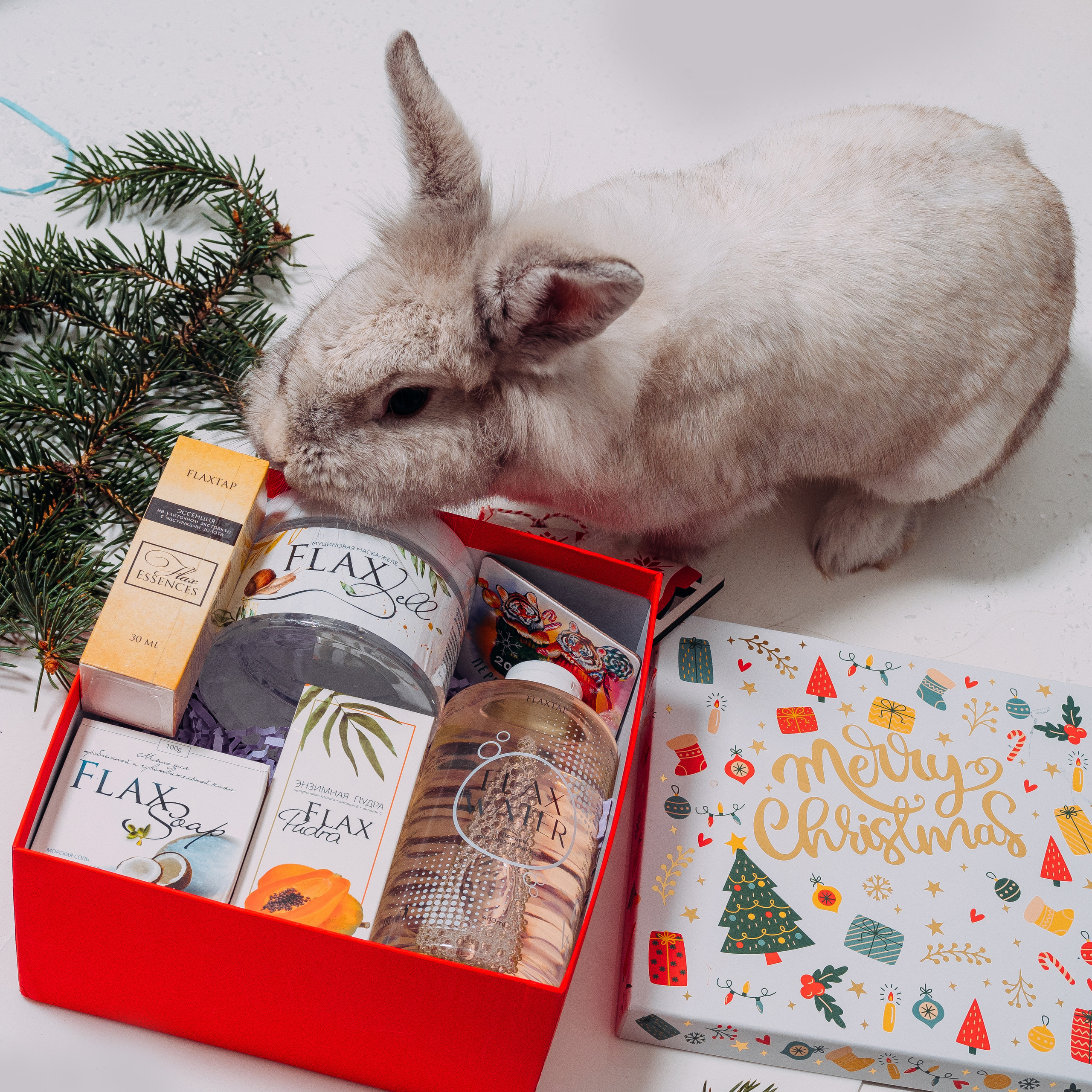 Фотостудия Анапа фотограф Анапа фотосессия Анапа. АНАПА ФОТОСТУДИЯ № 13