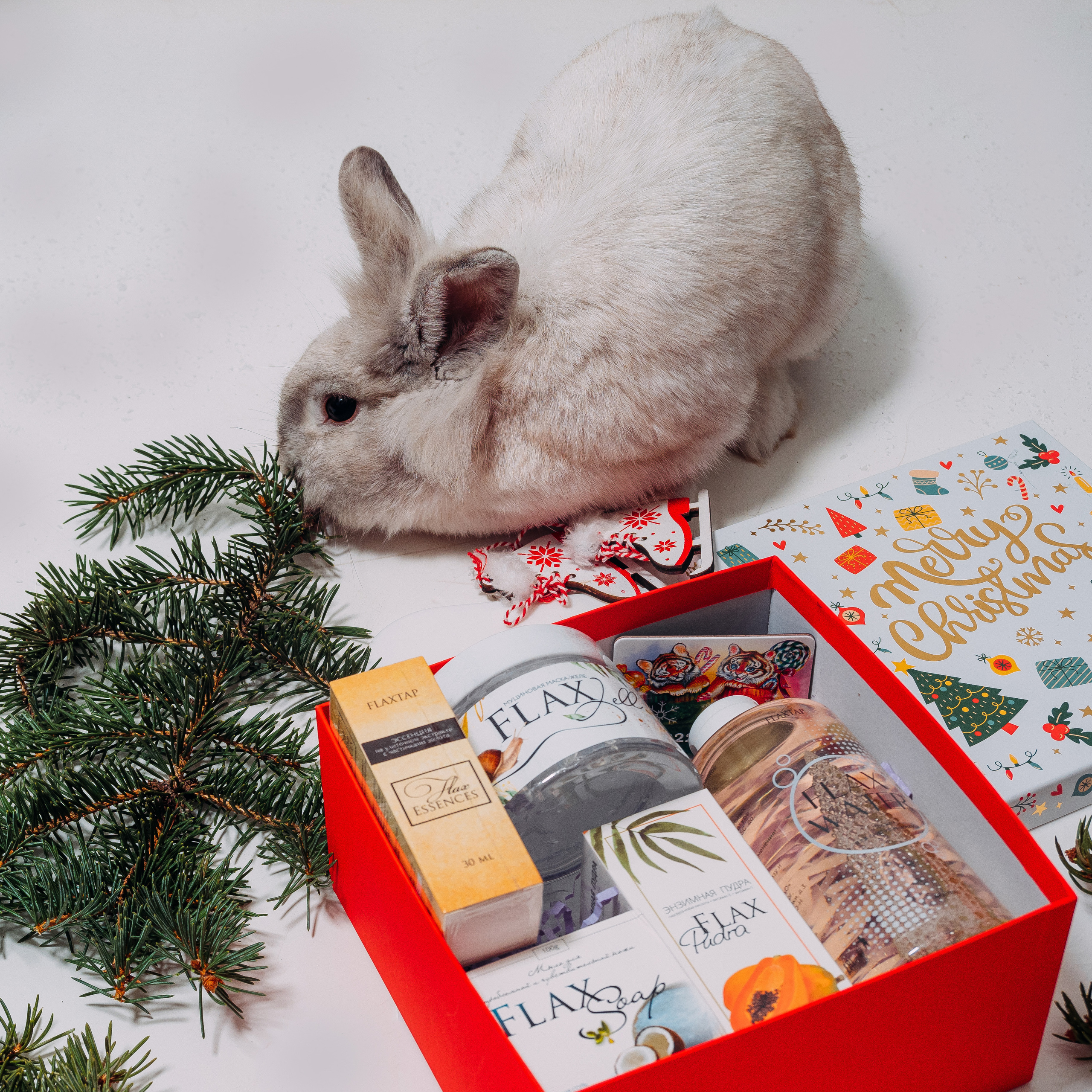 Фотостудия Анапа фотограф Анапа фотосессия Анапа. АНАПА ФОТОСТУДИЯ № 13