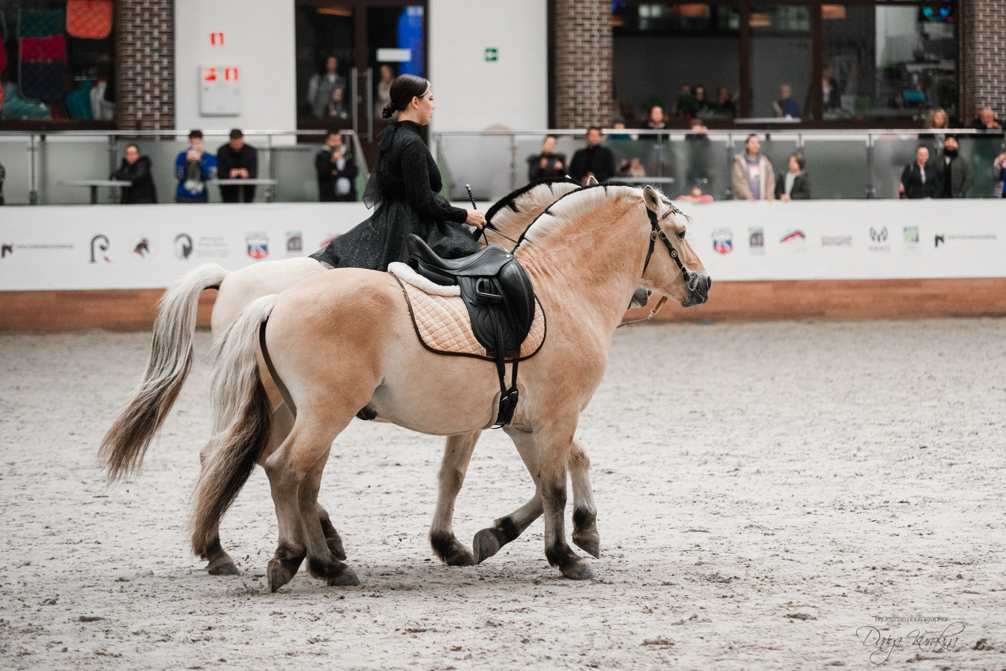 8-я международная выставка Конная Россия. Конный фотограф Куракина Дарья • Фотосессии с лошадьми
