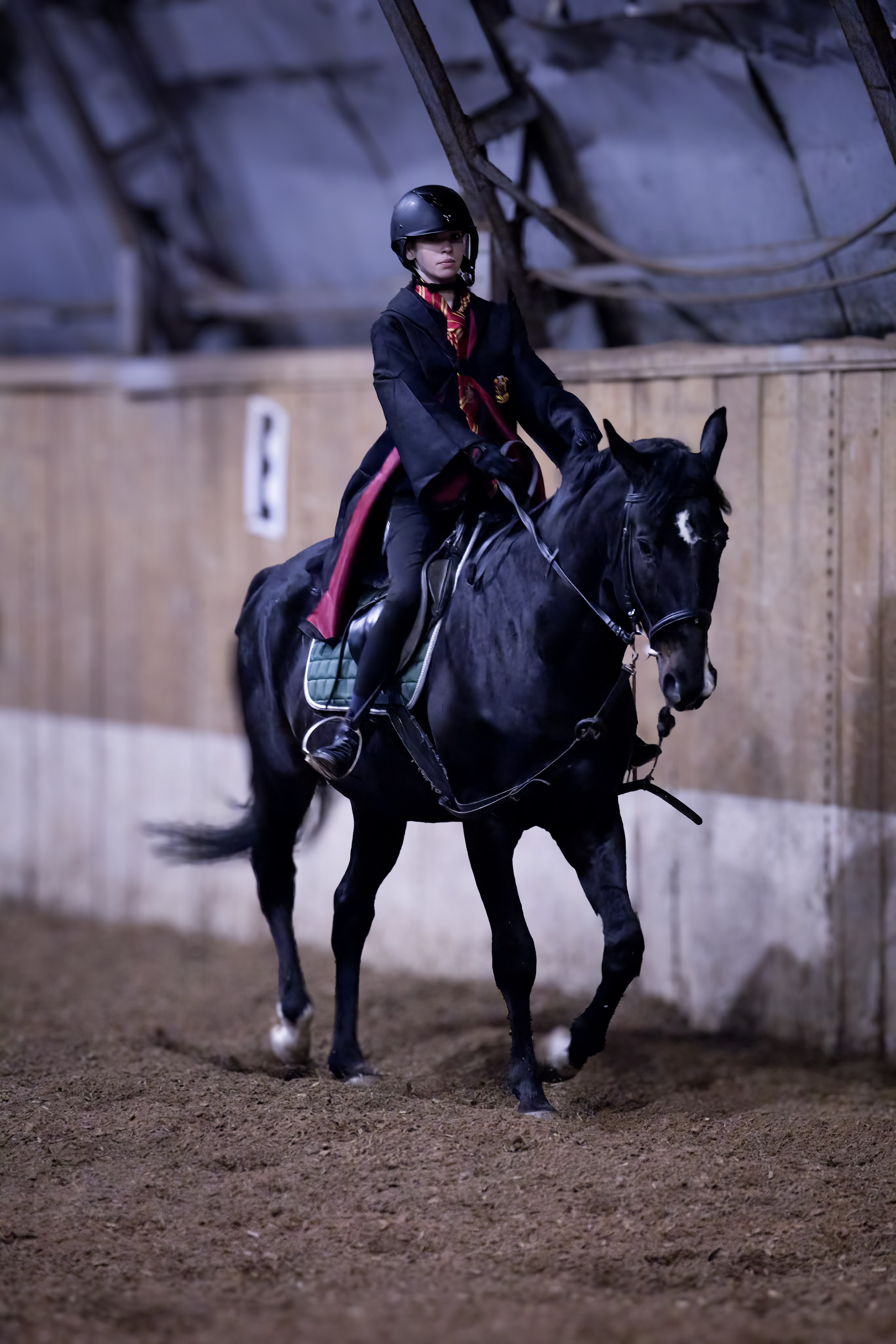Волшебный турнир в Конно-спортивном клубе «АЛЛЮР» Нижний Новгород. Добро пожаловать в студию «Цифровой скульптор»  где искусство встречается с технологиями!